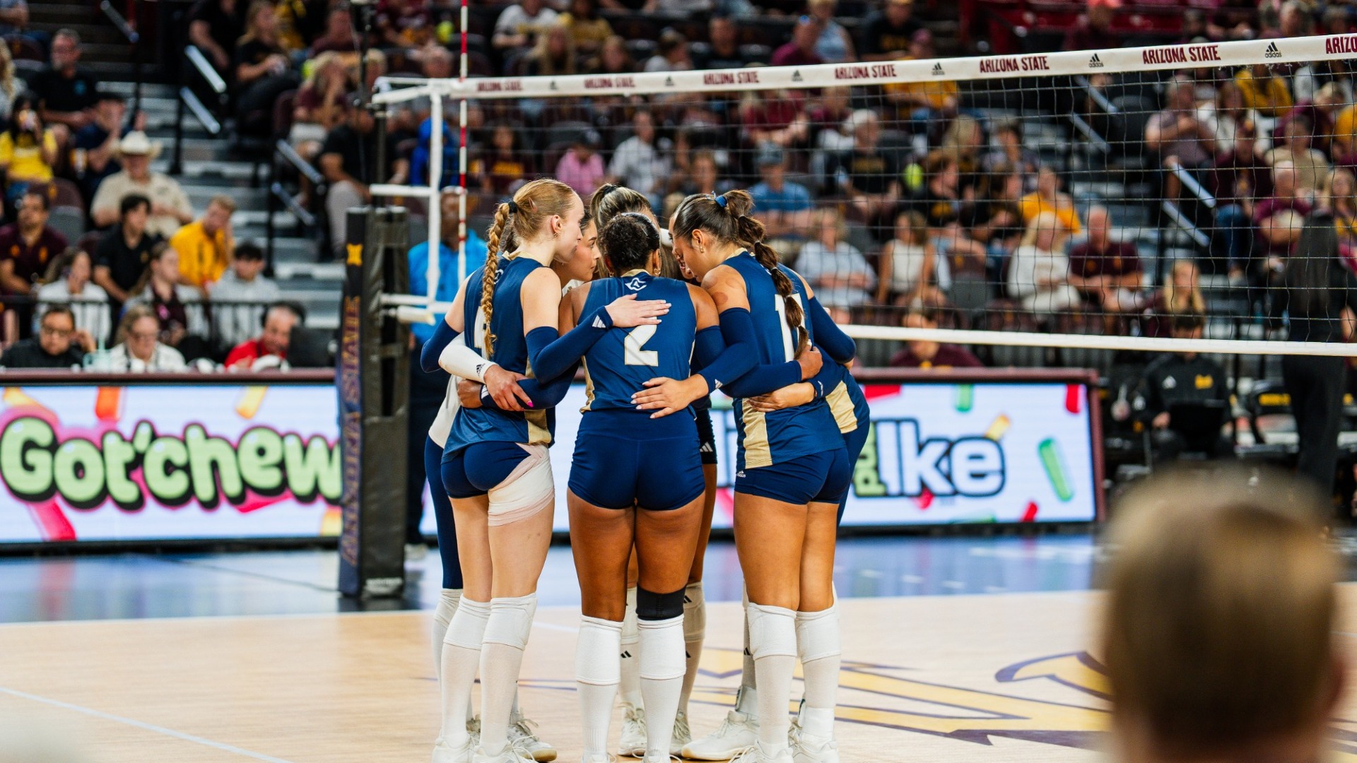 VB Team