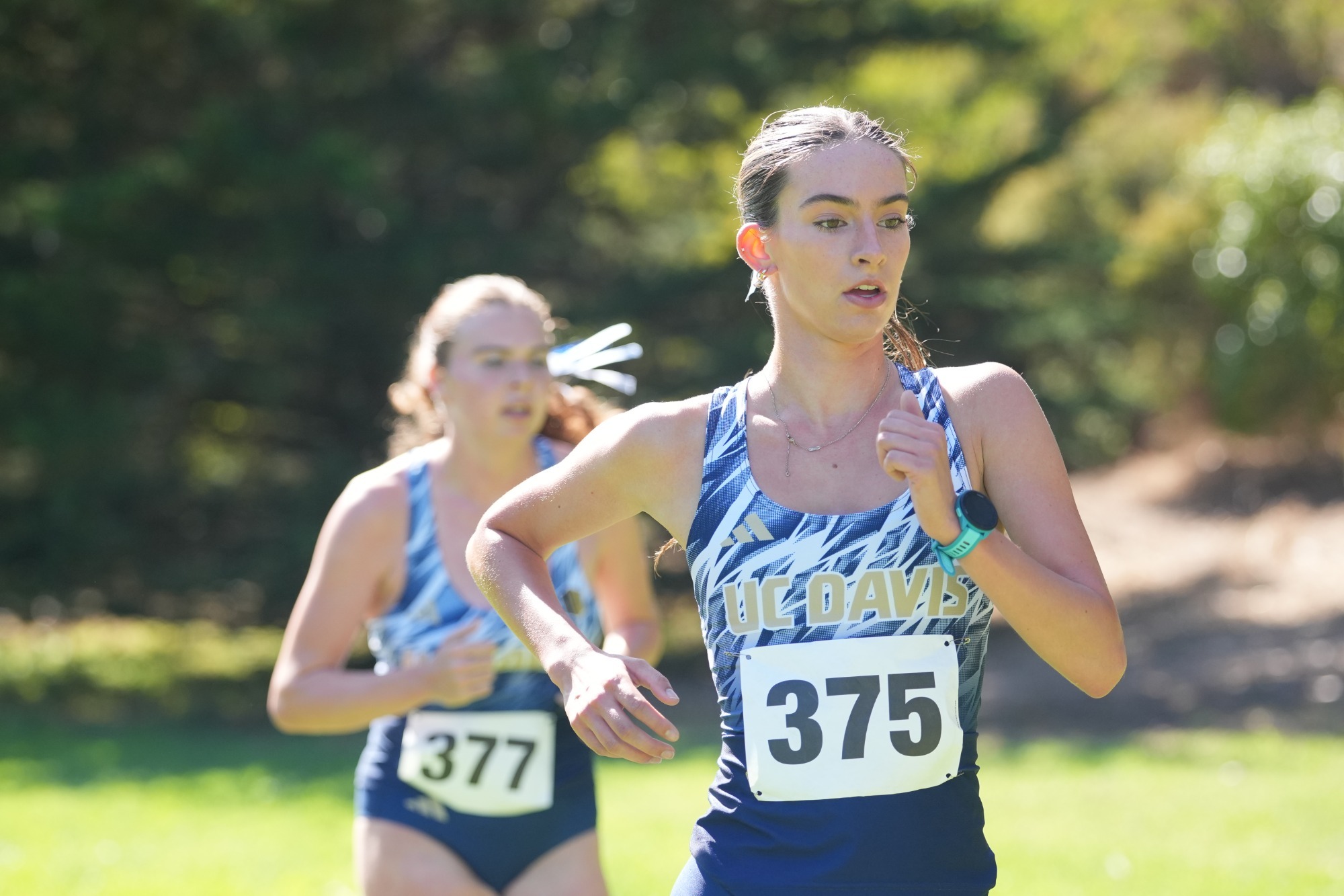 XC 2026 - Sep. 19
