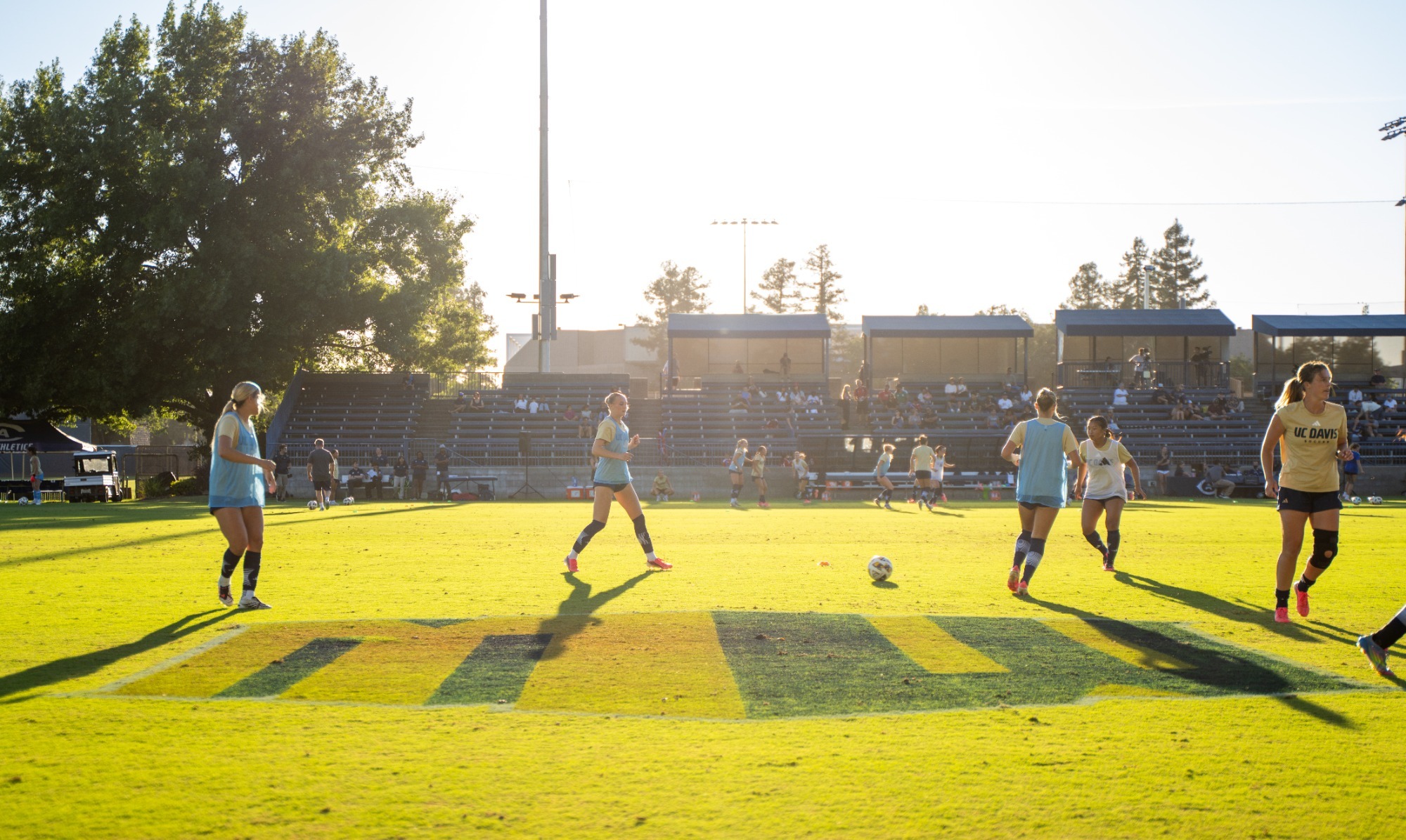 WSOC