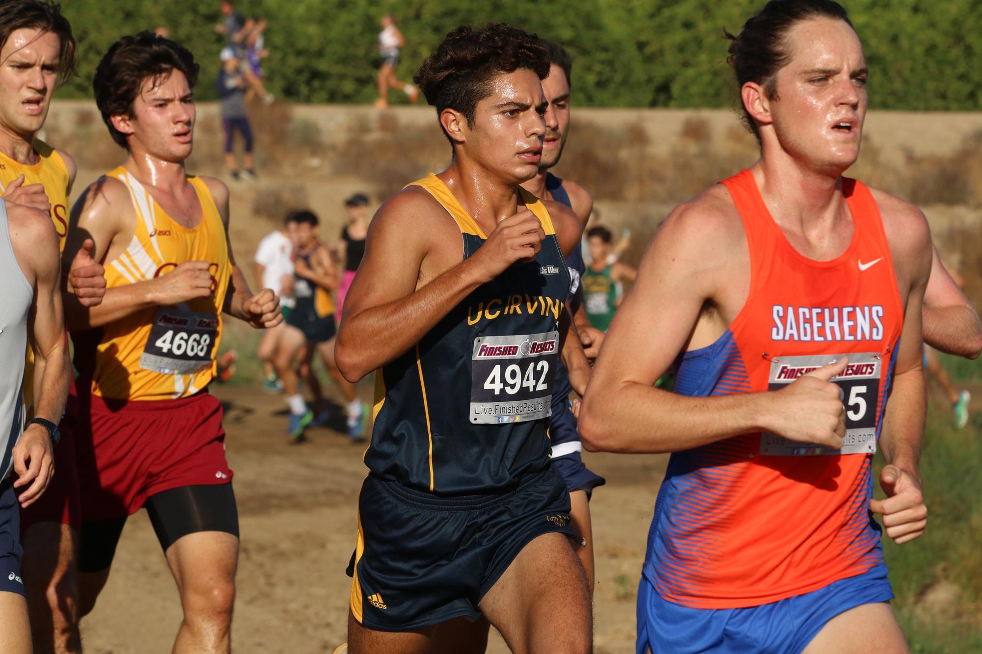 Andrew Graciano Men's Cross Country UCI Athletics