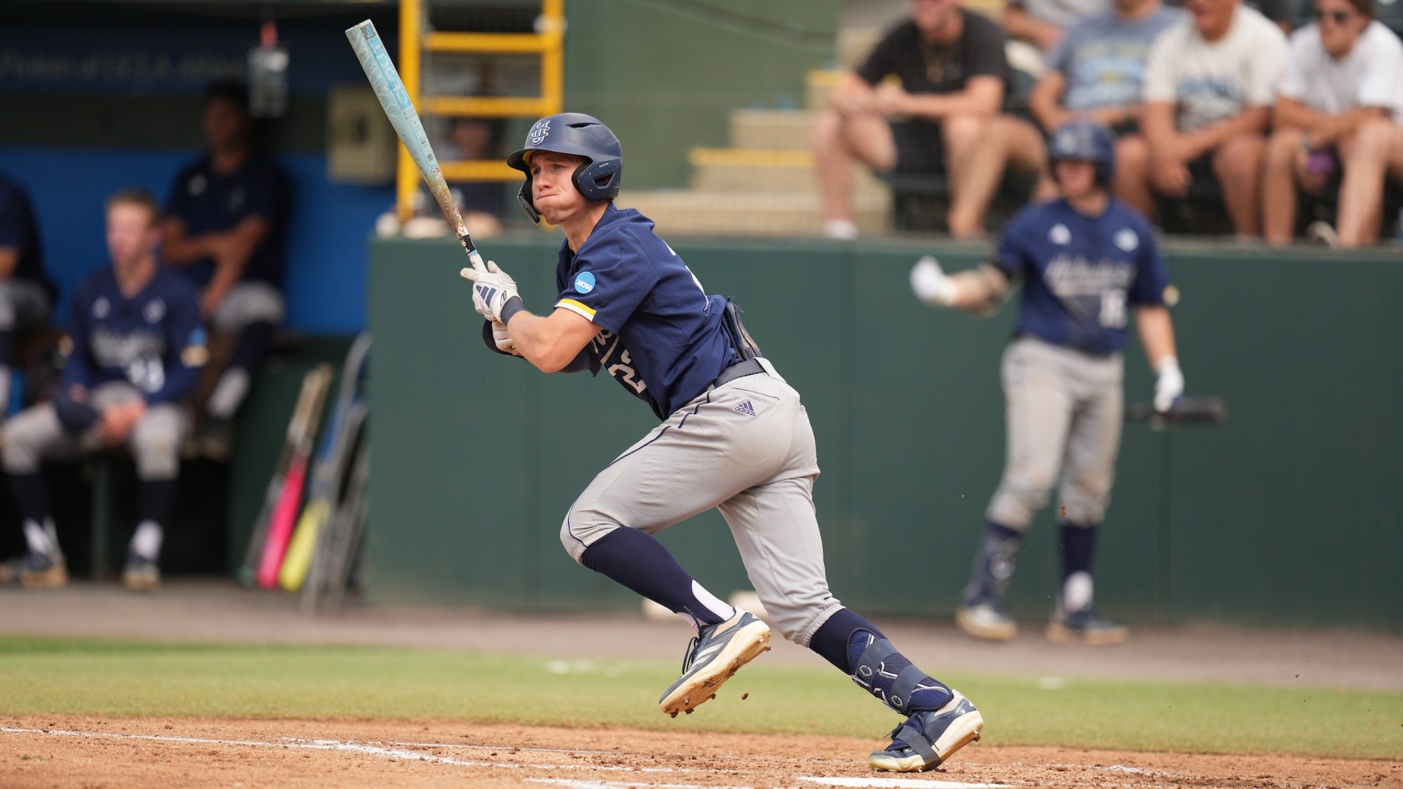 frankie-carney-uci-bsb-2025-2026-bigwestchampionship-sacramentostate