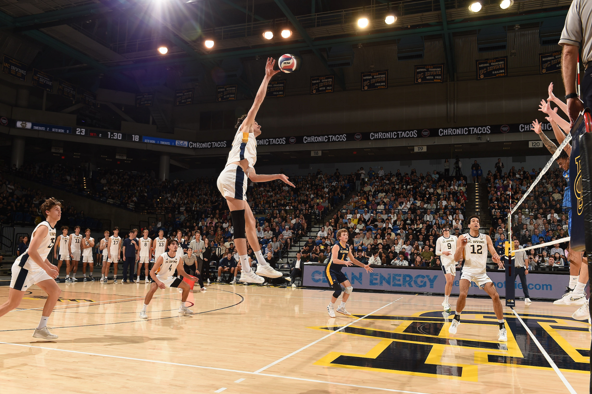 William-D'Arcy-MVB-26