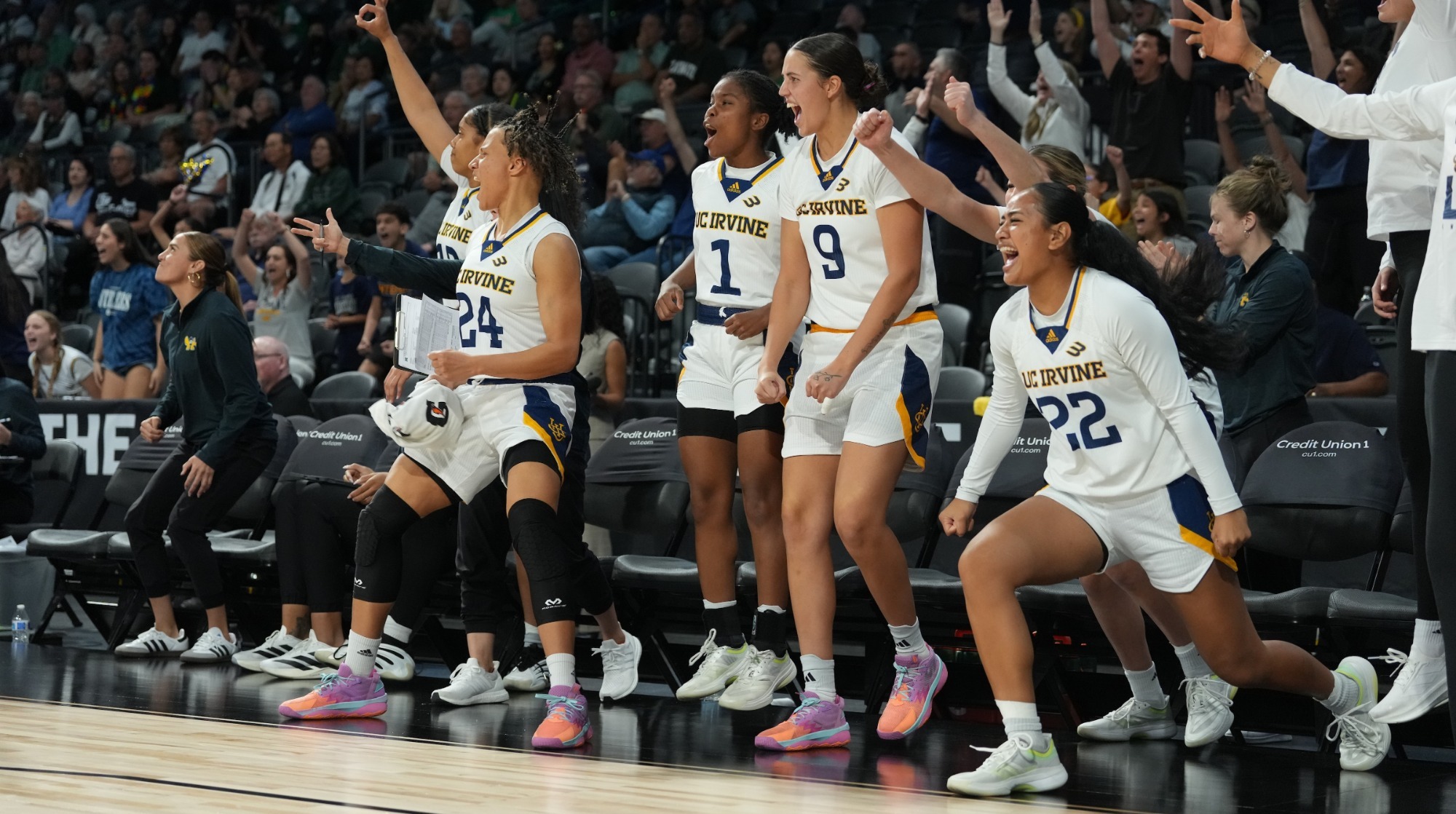 wbb-2026-bench-wbit-preview