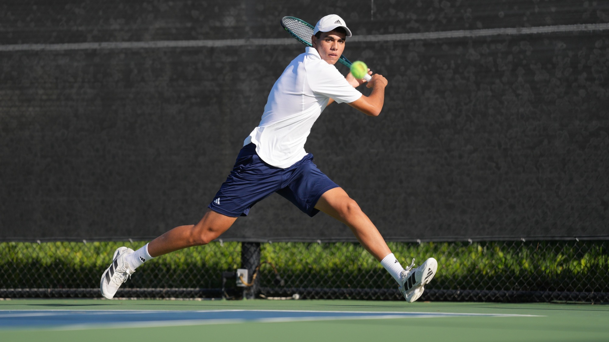 greg-gamal-mten-2026-nova-lmu-preview