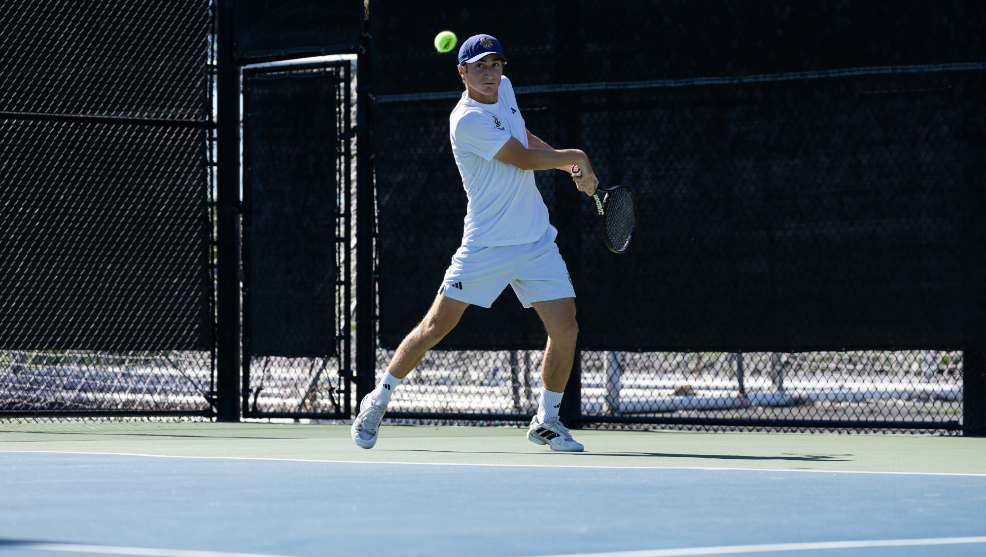 tal-goodman-mten-030926-preview