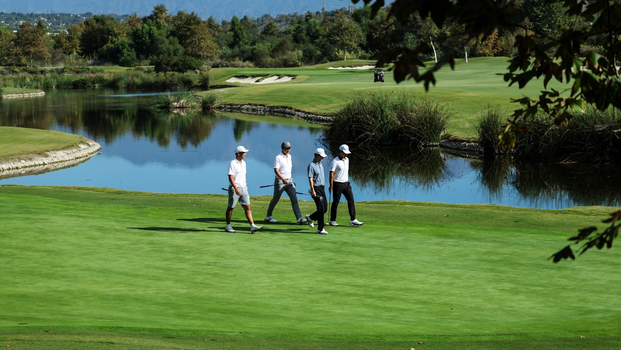 Four golfers walking on the course