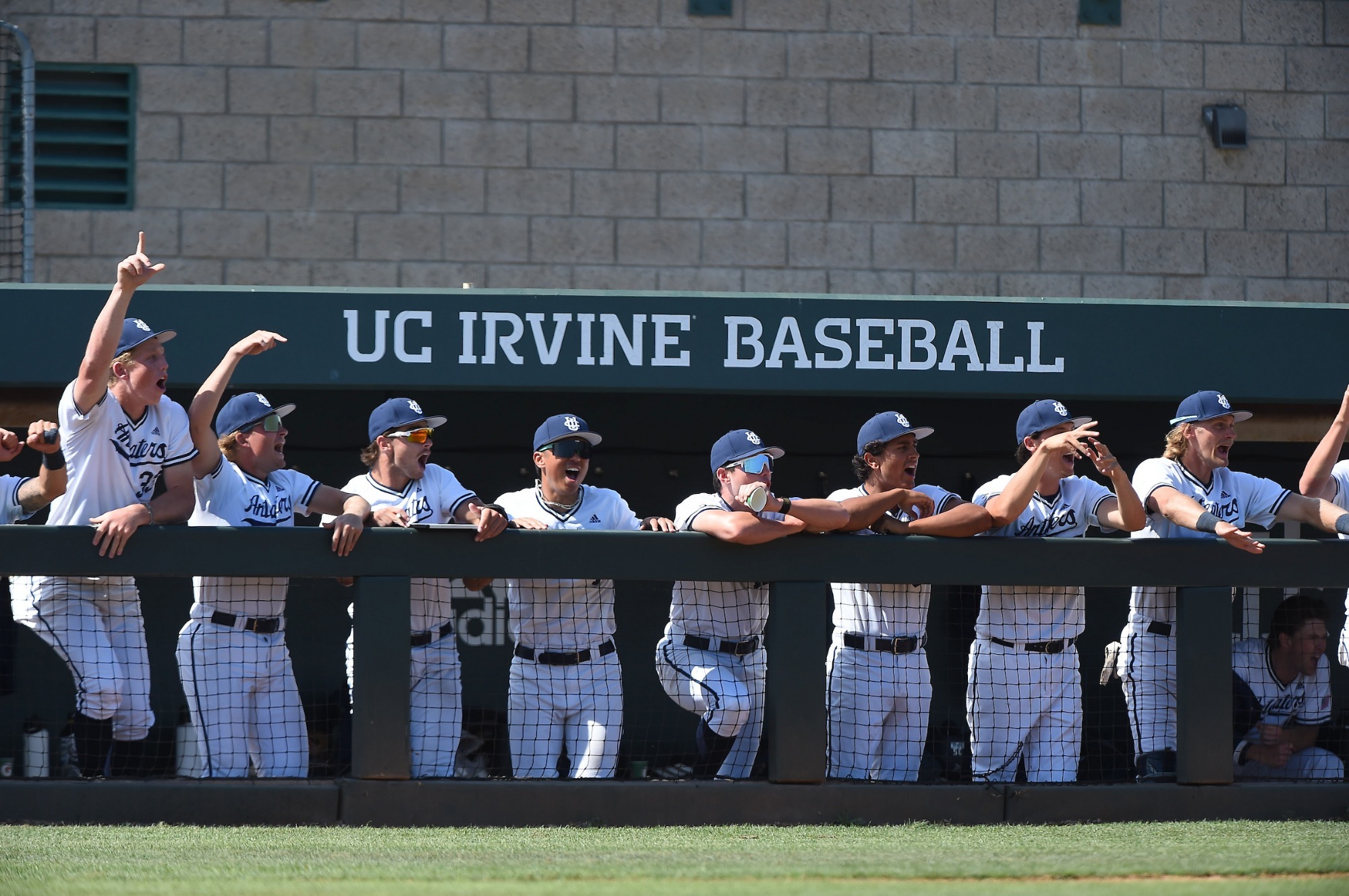 foster-podstreleny-derrico-kim-smith-kai-rodgers-dietsch-uci-bsb-2026-oregonstate-ucsantabarbara-dugout-team