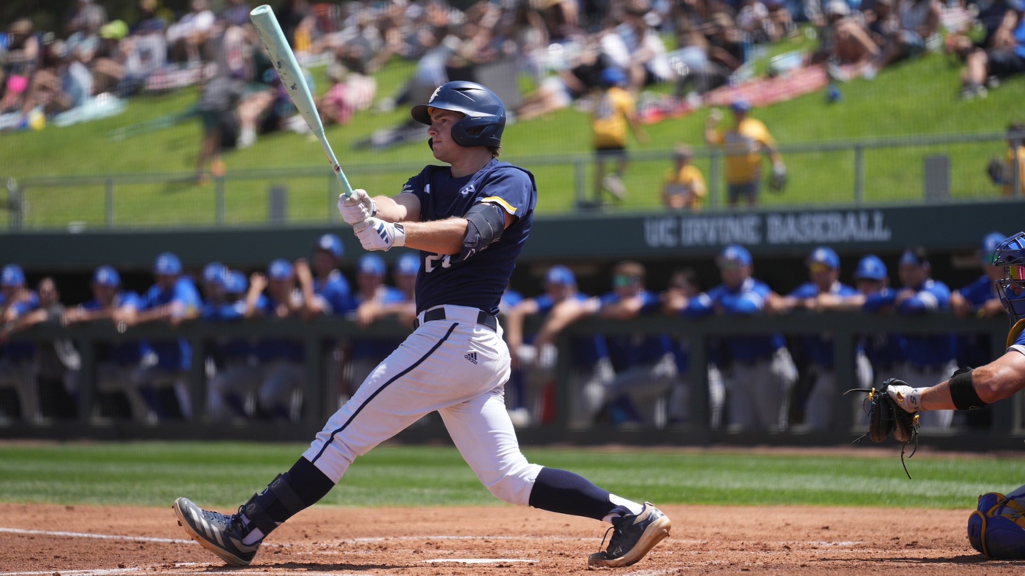 auggie-gutierrez-uci-bsb-2026-ucsantabarbara