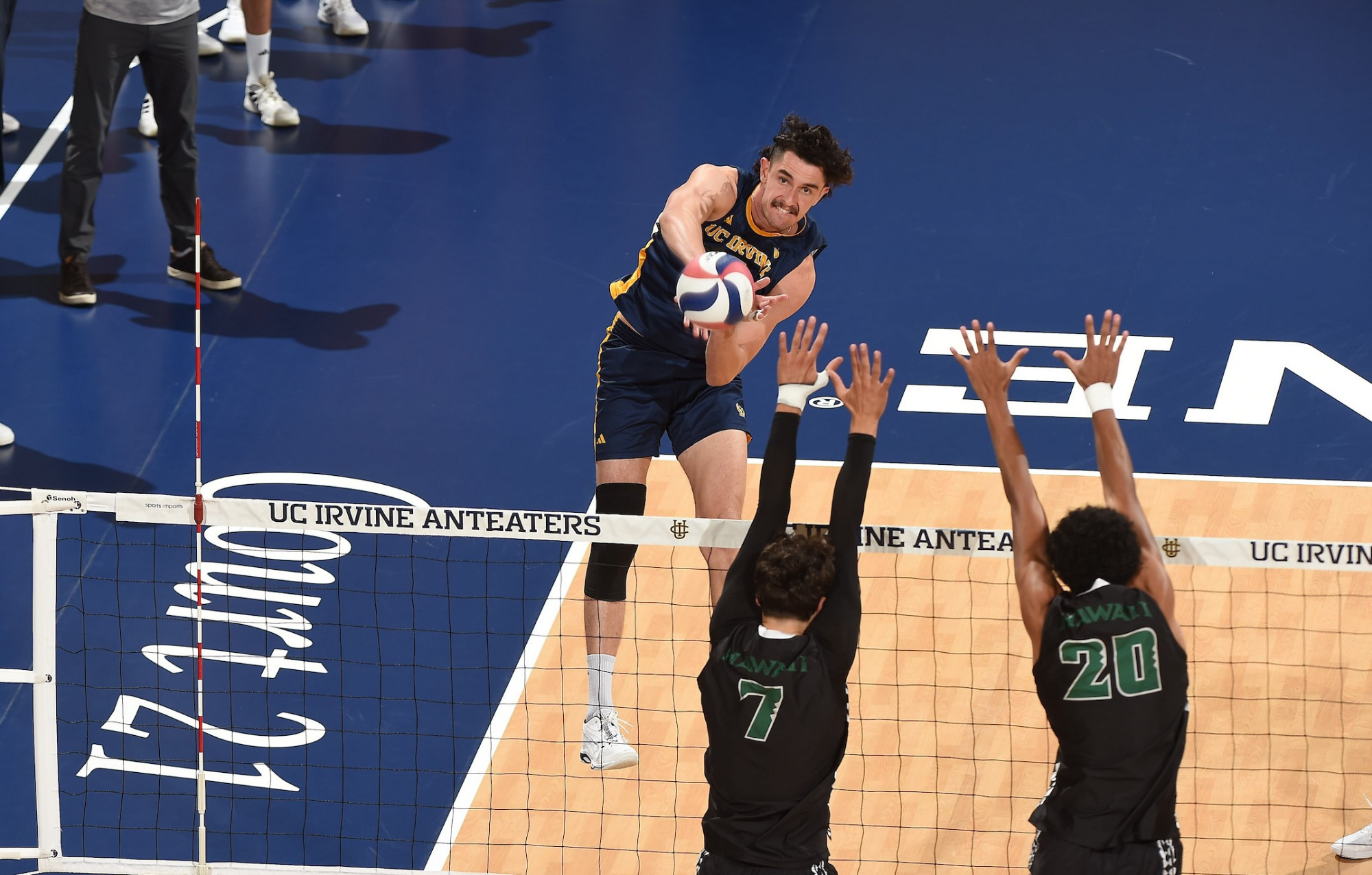 William-D'Arcy-MVB-26