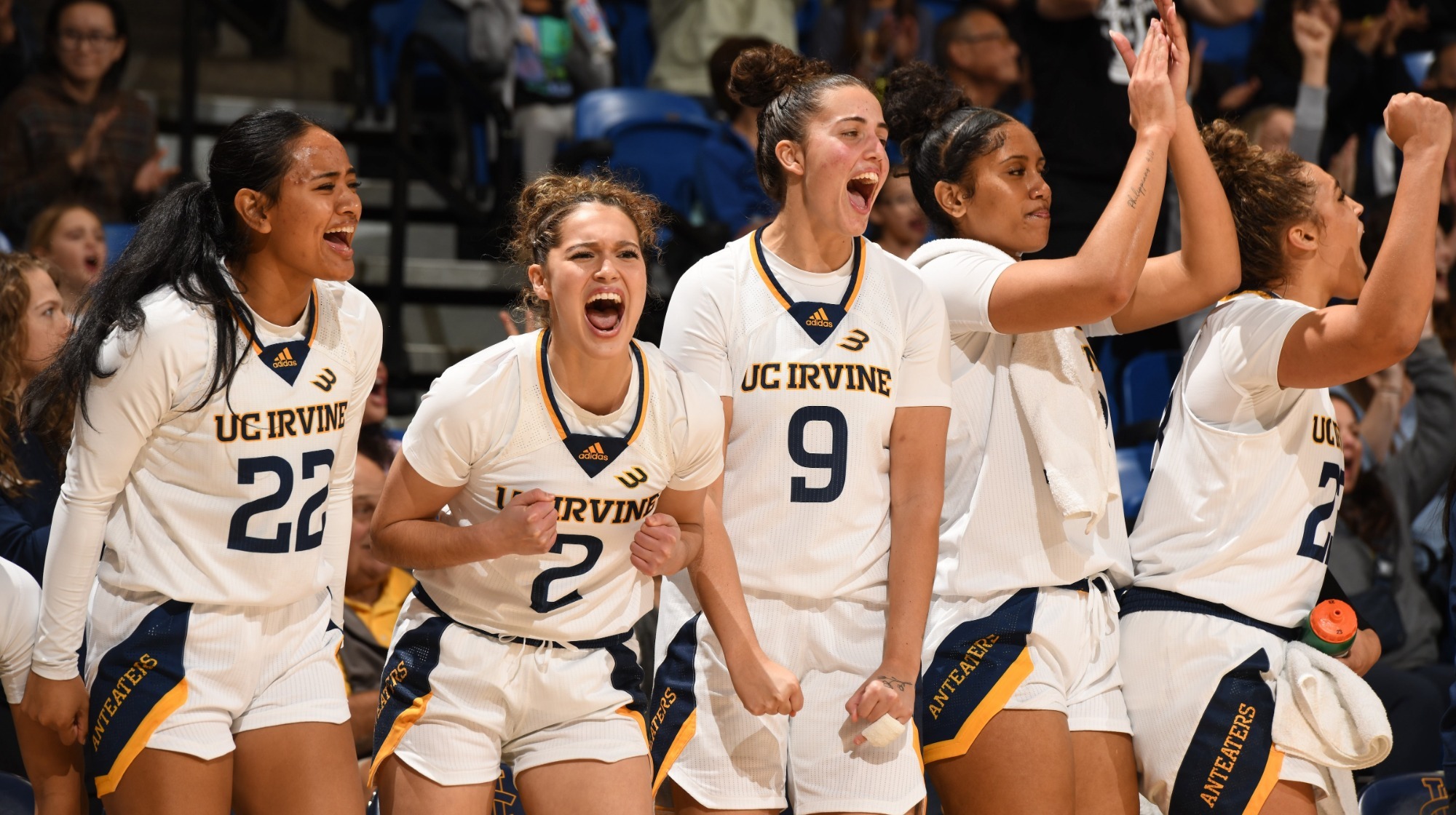 women's basketball team bench celebration