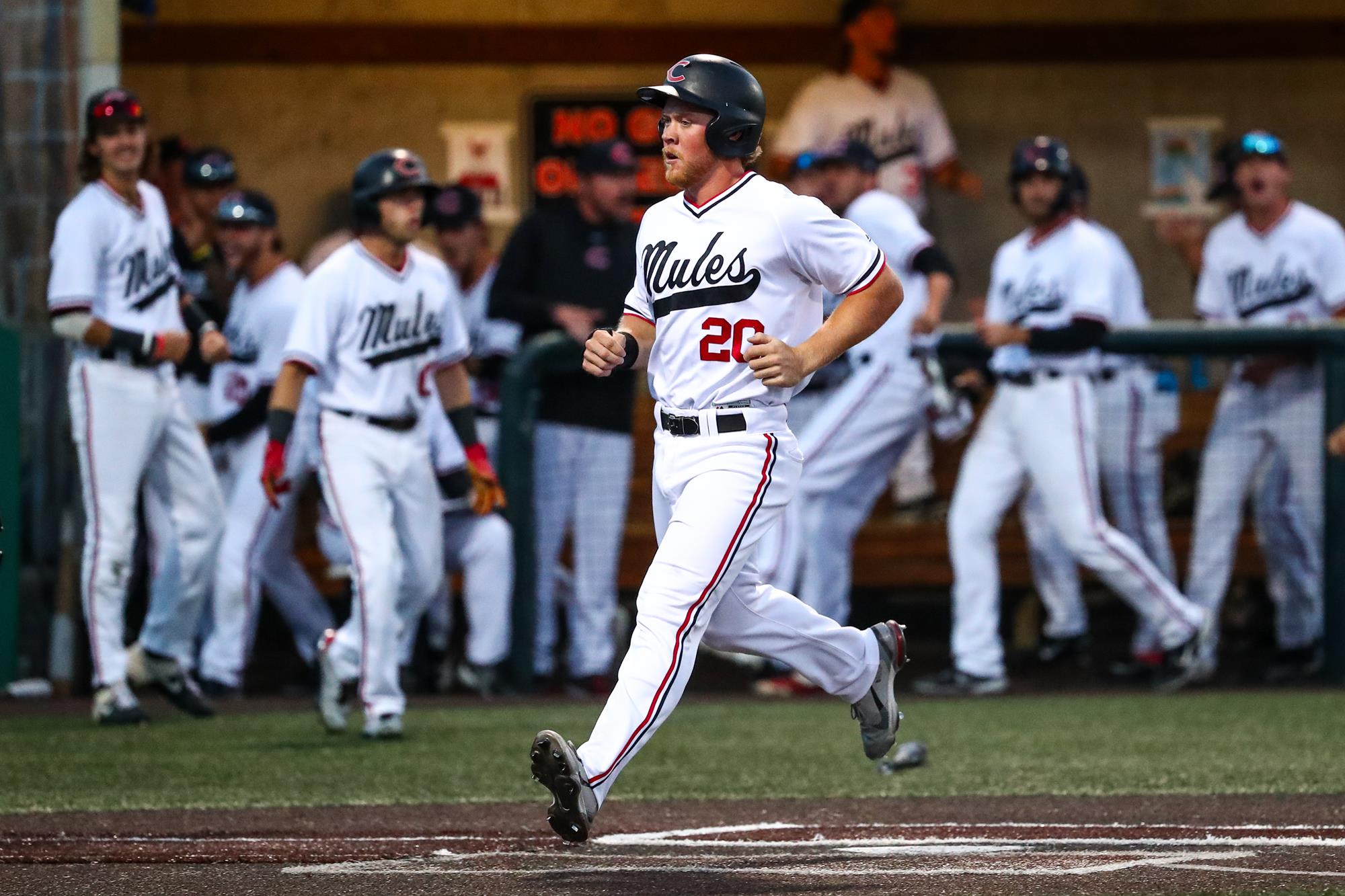 No. 6 Mules Baseball Season Comes to an End in NCAAII Central Regional