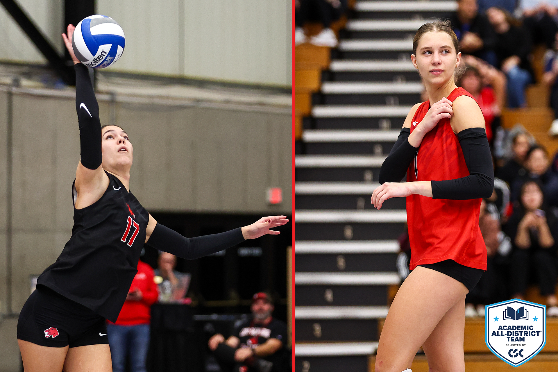 Tiff & Wink CSC Academic All-District 