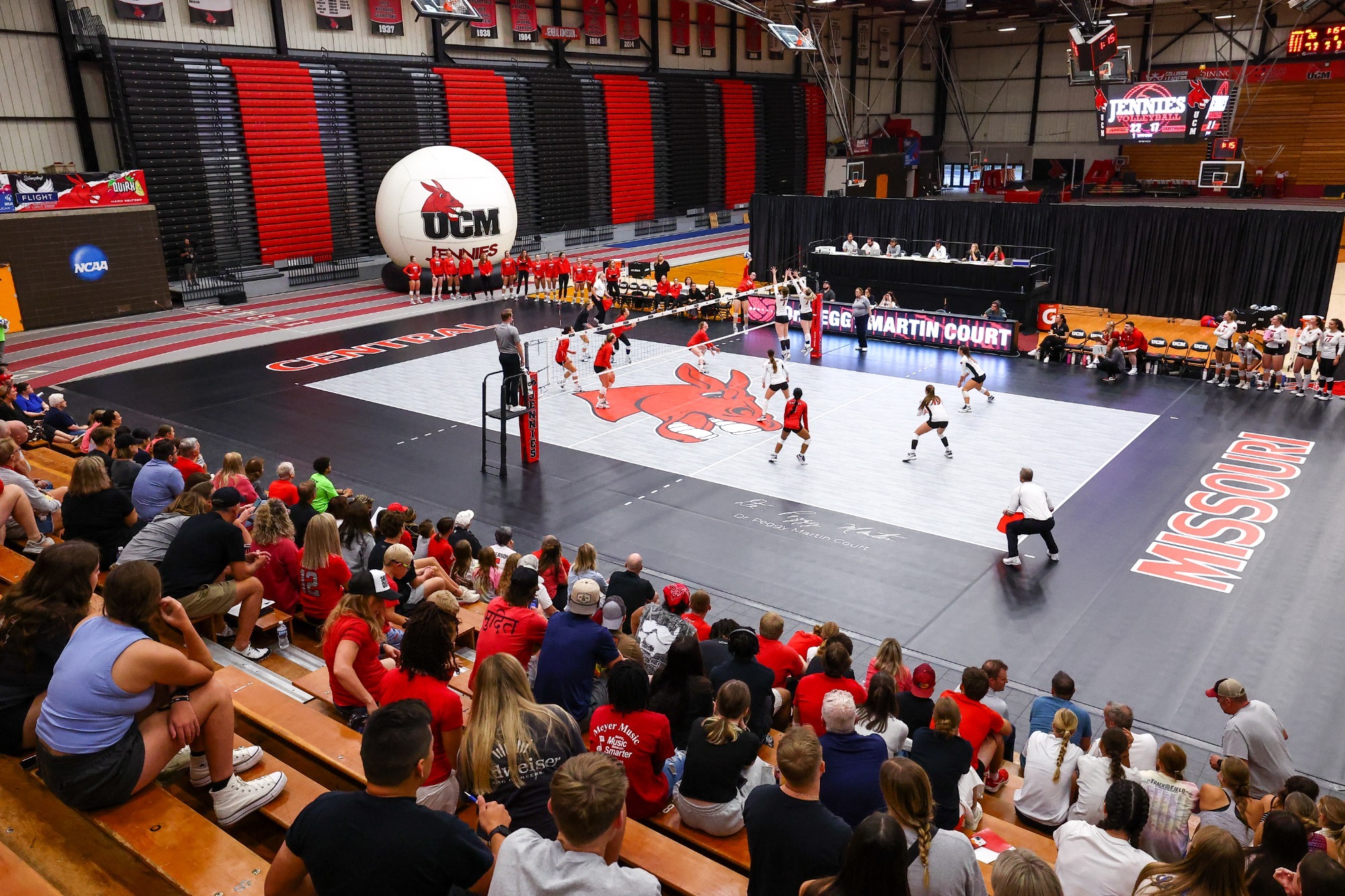 Dr. Peggy Martin Court vs Drury