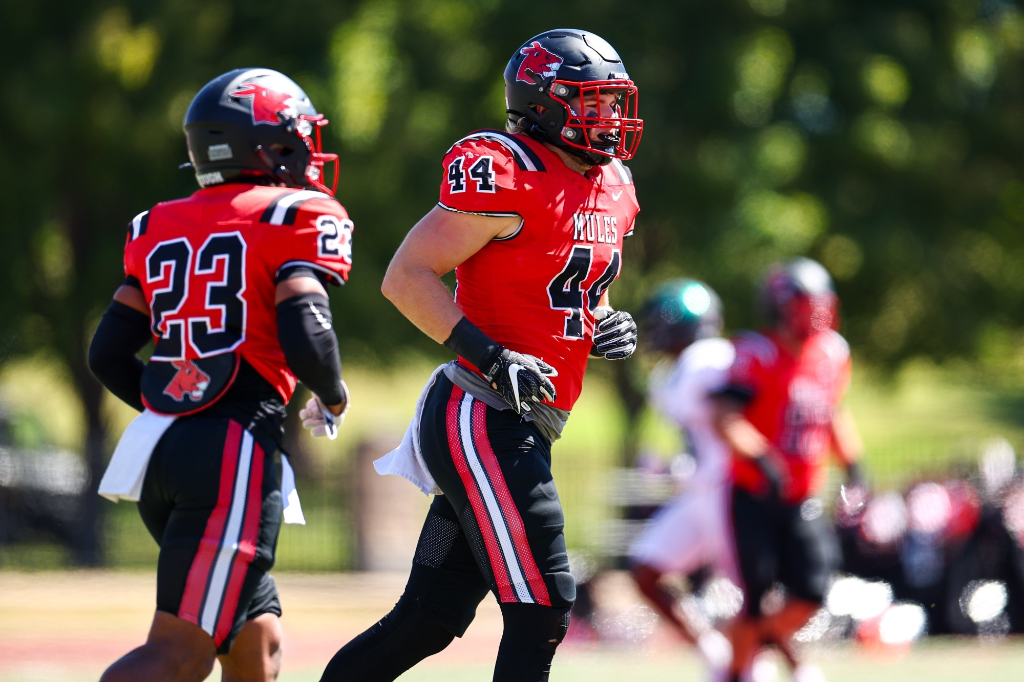 Former Mules Football Standout Tight End Delanie Walker Nominated for