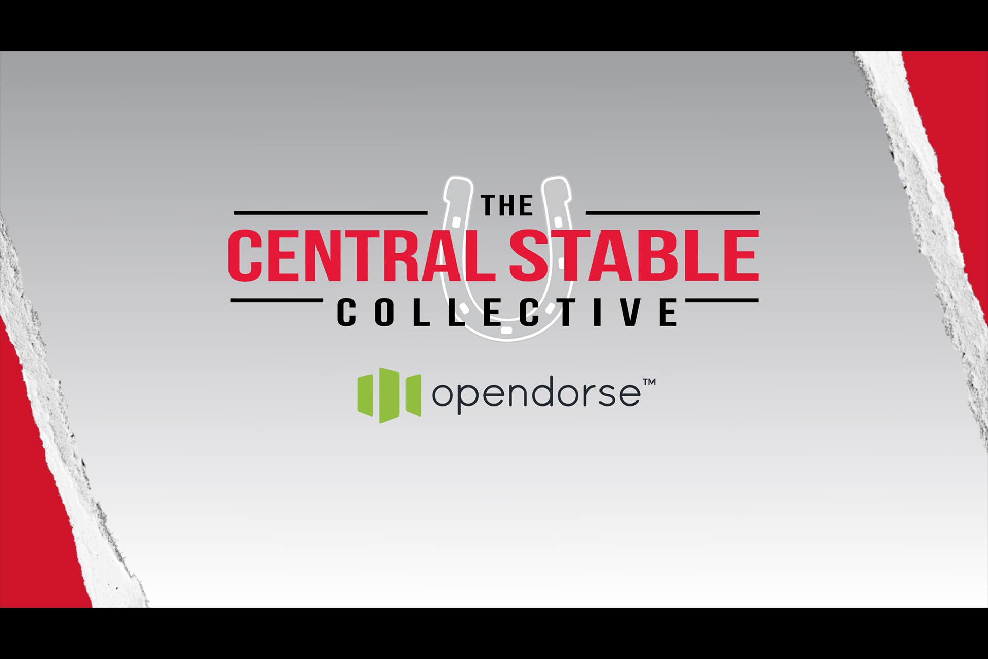 The Central Stable Collective for web 2025