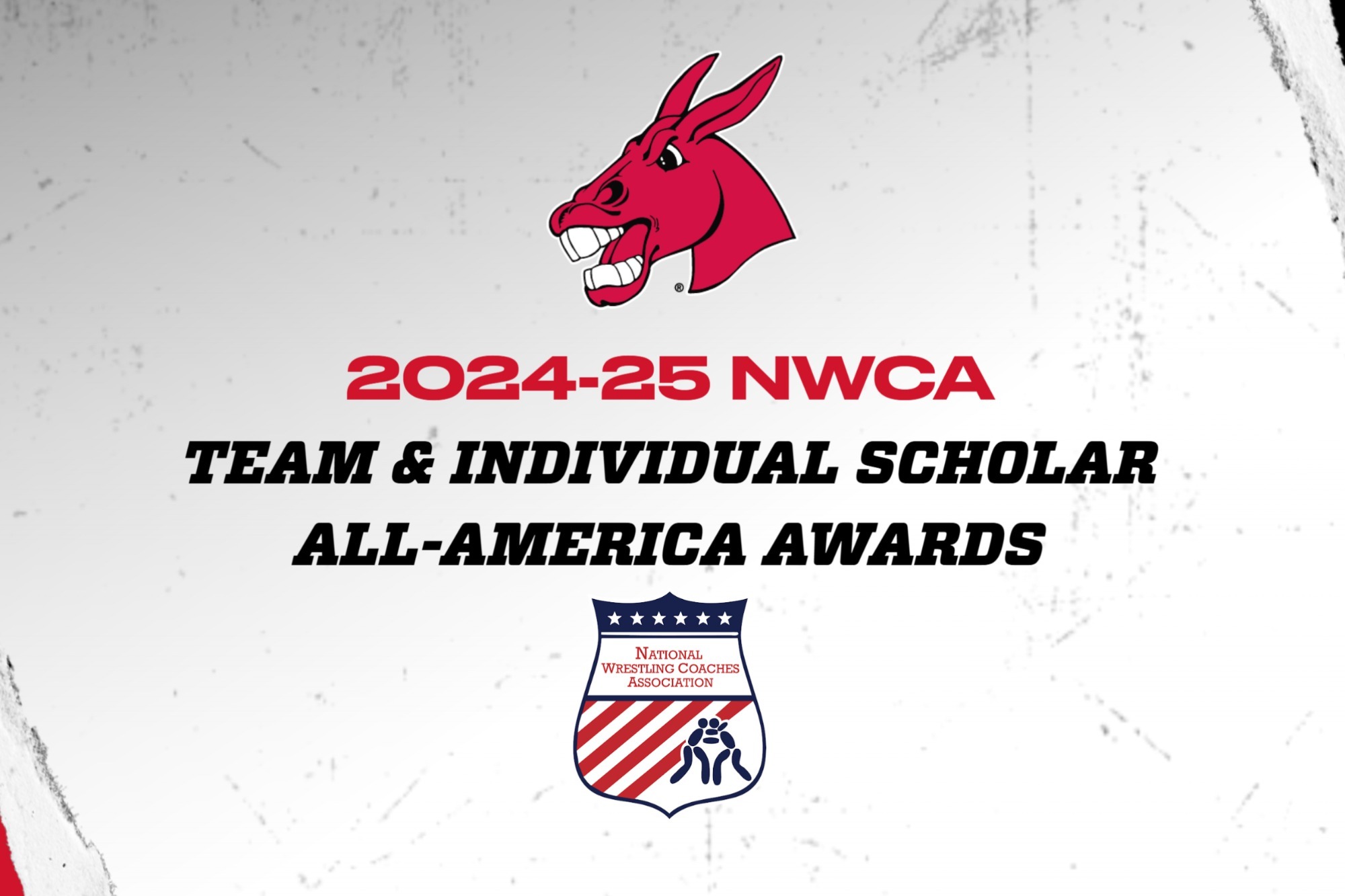 NWCA Scholar Awards 2024-25