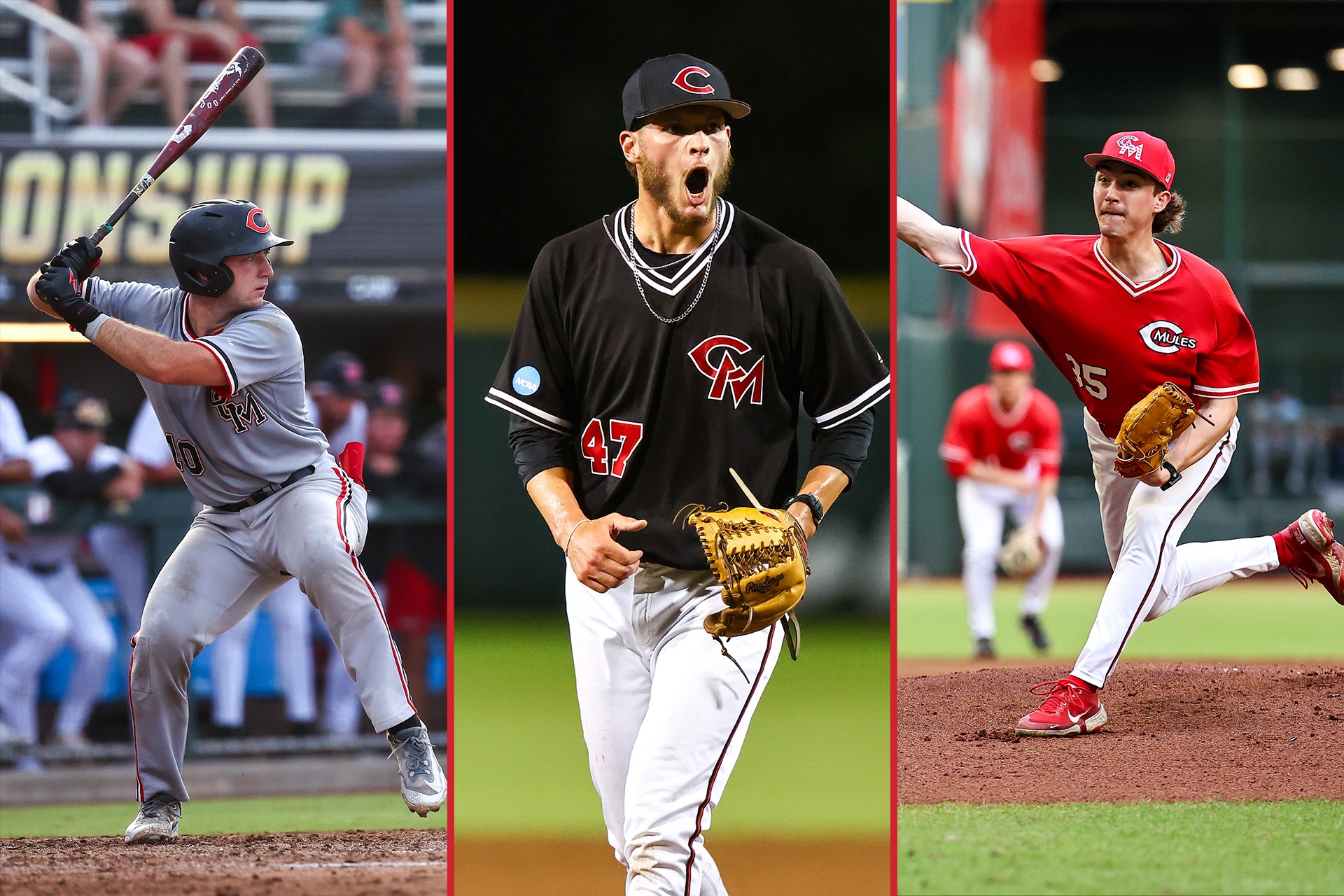 Mules Baseball 2025 MLB Draft picks