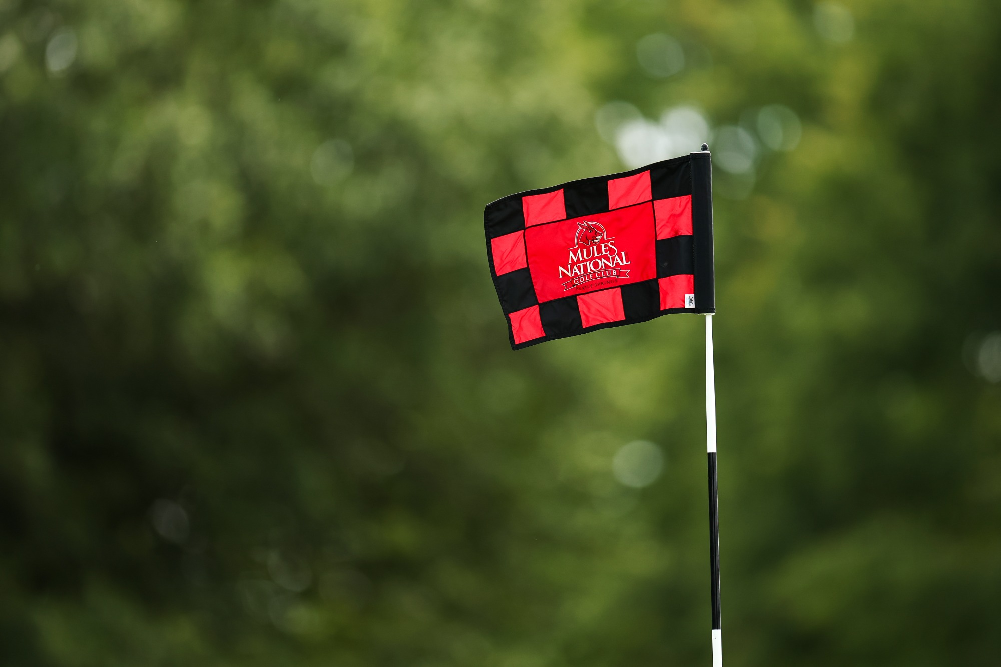 Day 1 of The Mule golf tournament was held on Monday, September 8, 2025 at Mules National Golf Club in Warrensburg, Missouri.