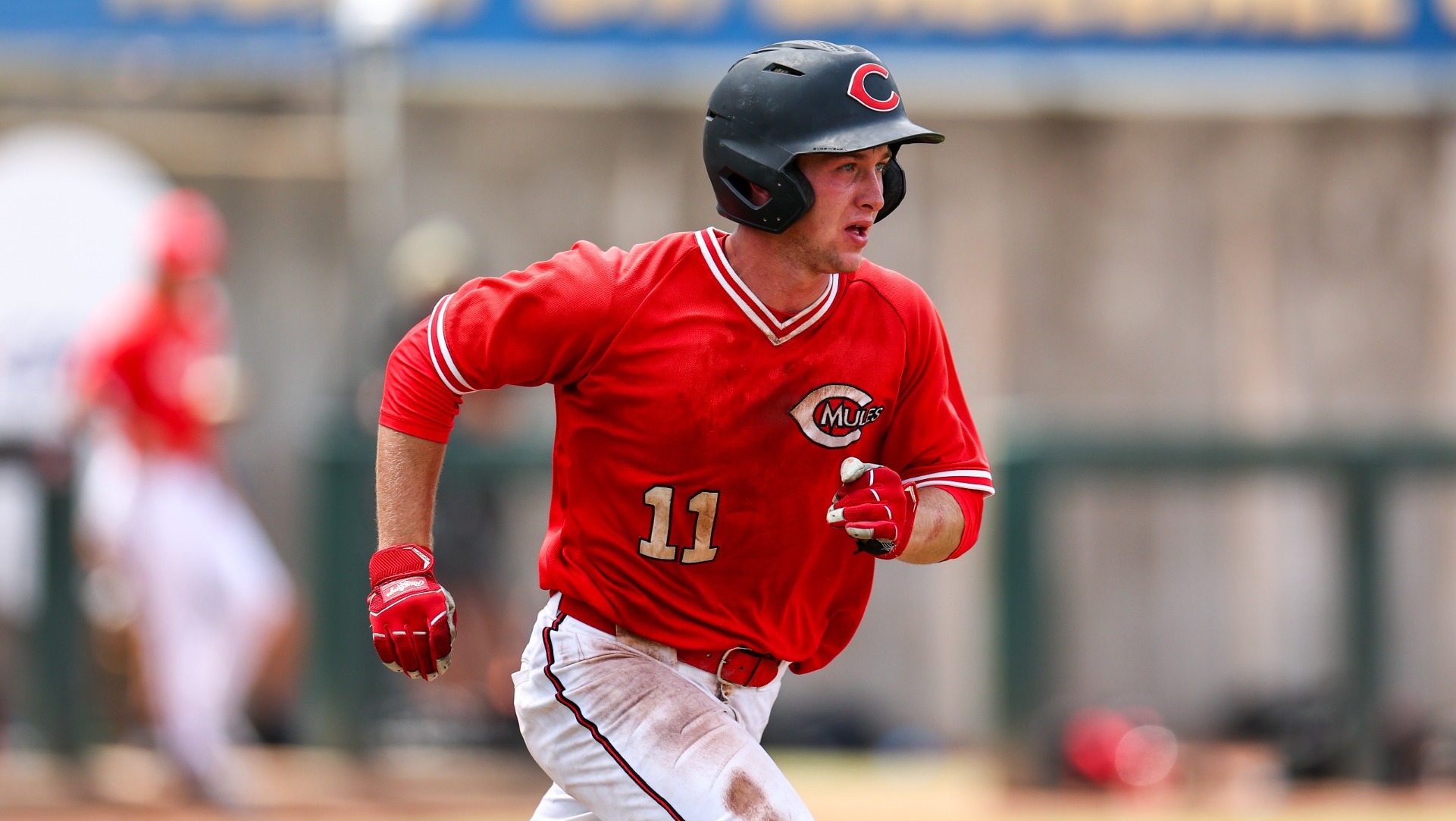 Cole Kreisel in 2025 NCAA-II World Series