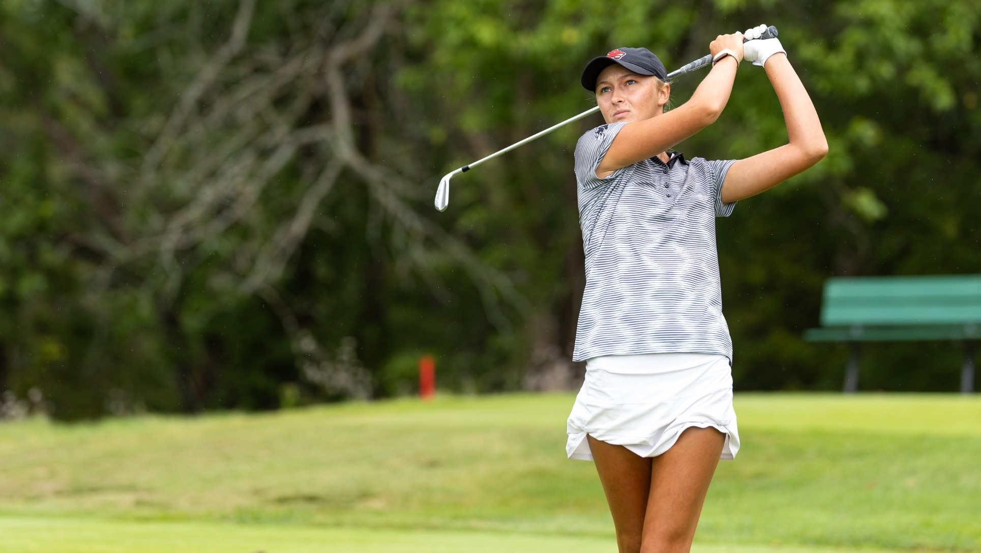 Ansley Giesselmann