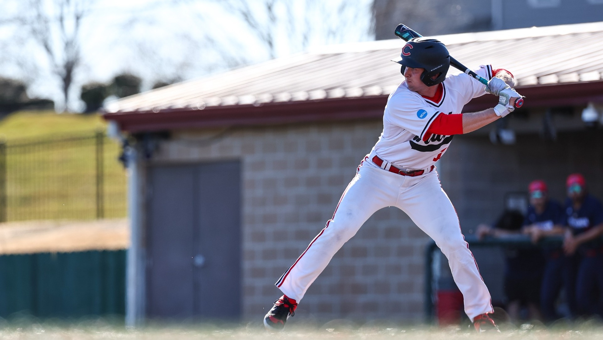 Cole Kreisel (11) vs. Newman