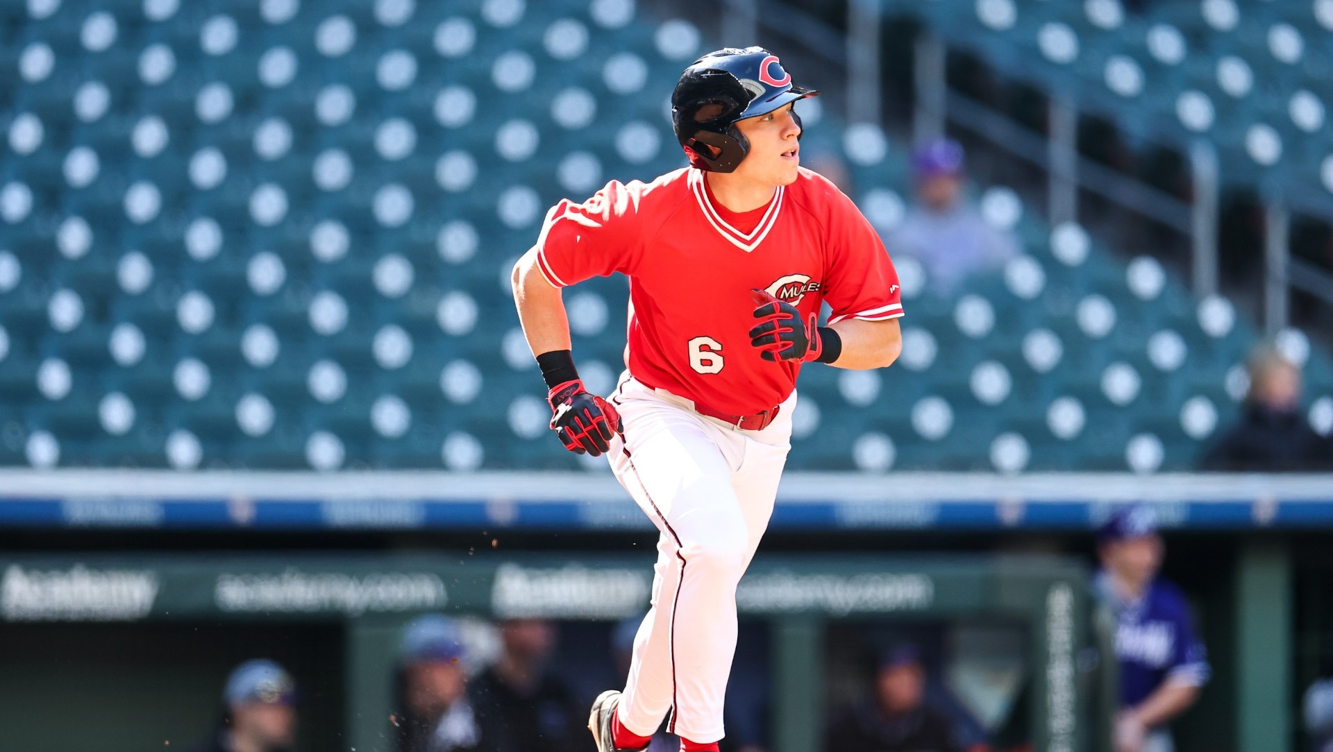 Evan Vienhage vs. Ashland