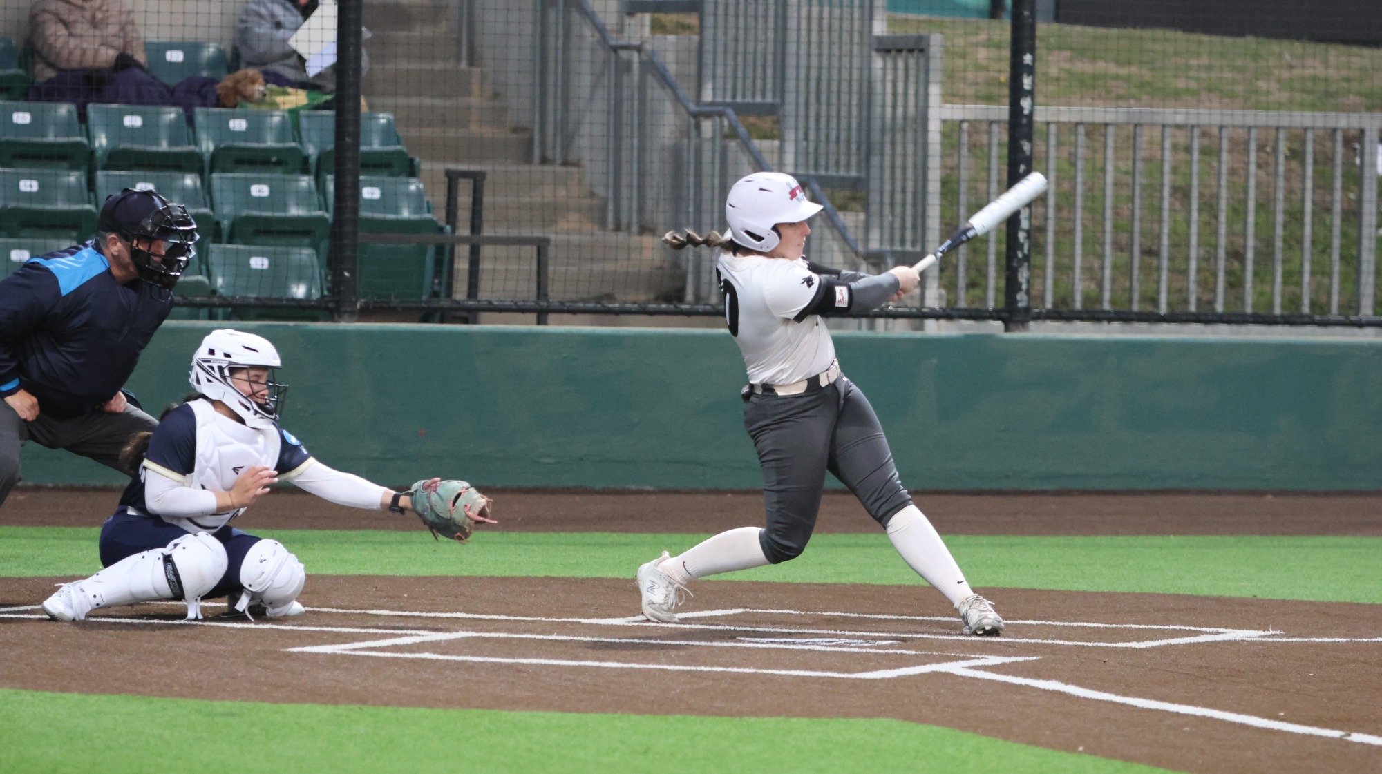 Taylor thompson swing in Mansfield