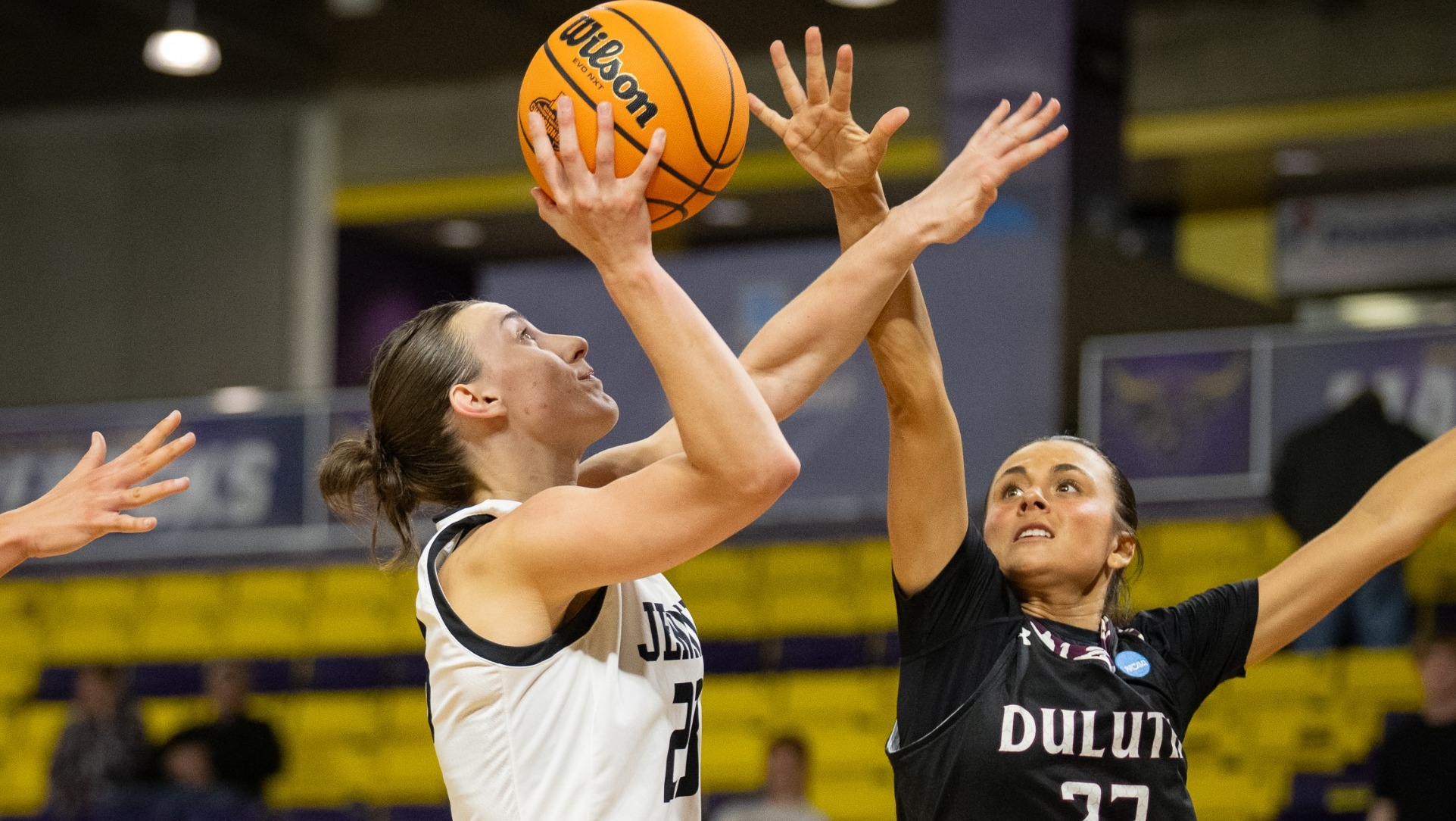 Reese Schaaf (23) vs. Minnesota Duluth in NCAA-II Central Regional Semifinals