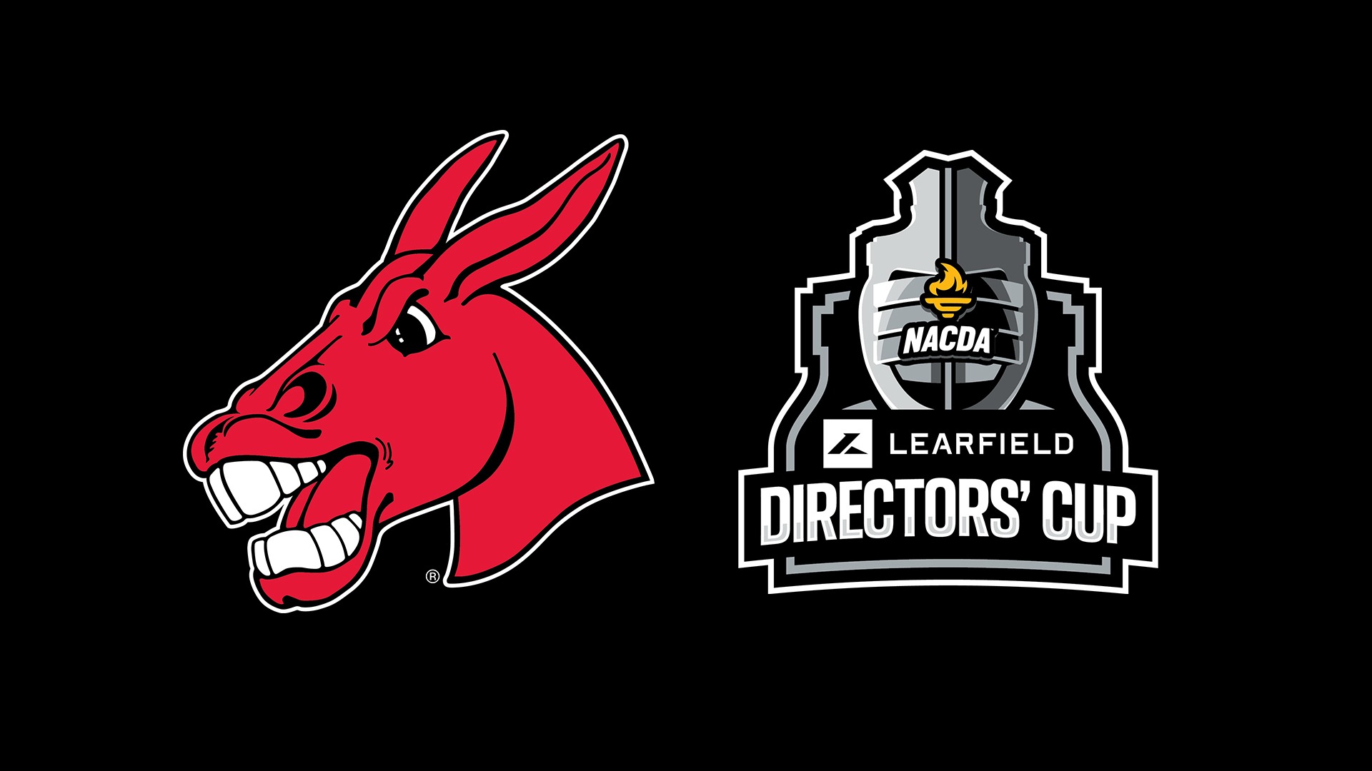 LEARFIELD Directors' Cup Graphic