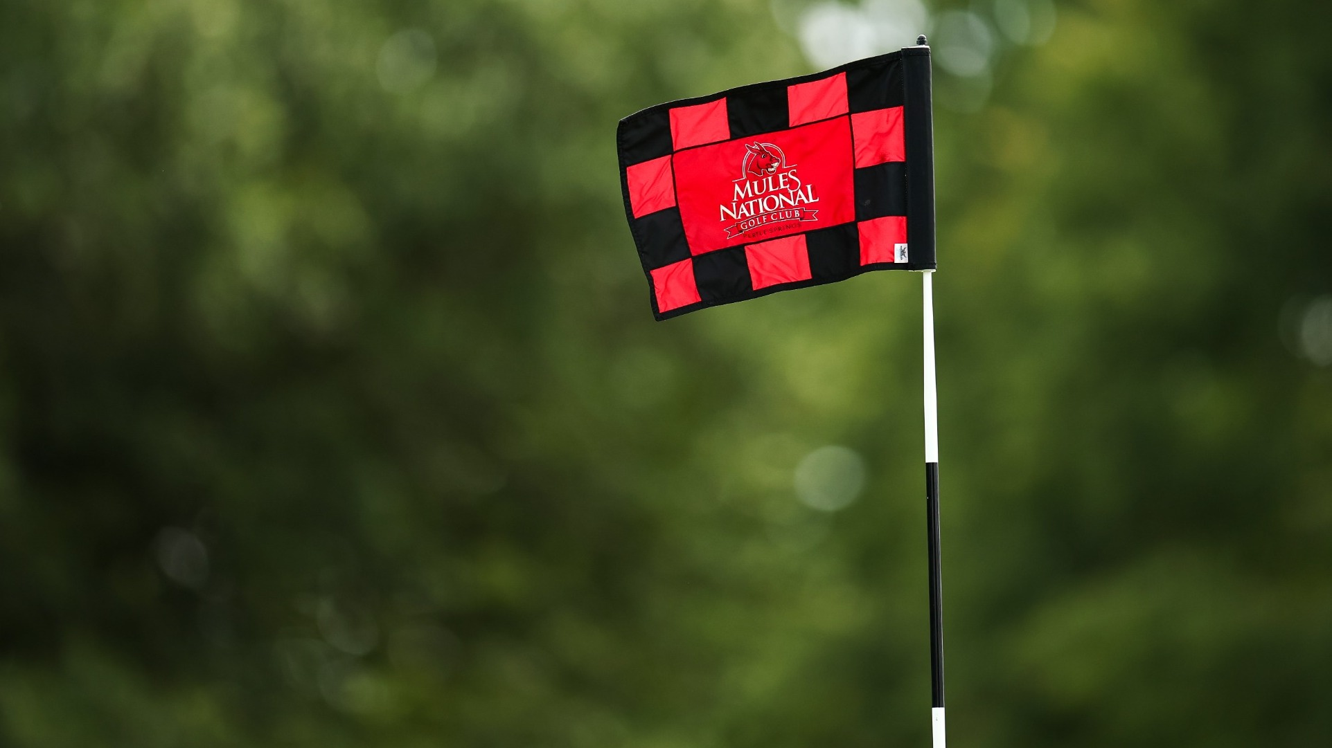 Mules National Golf Club Flag Pin photo
