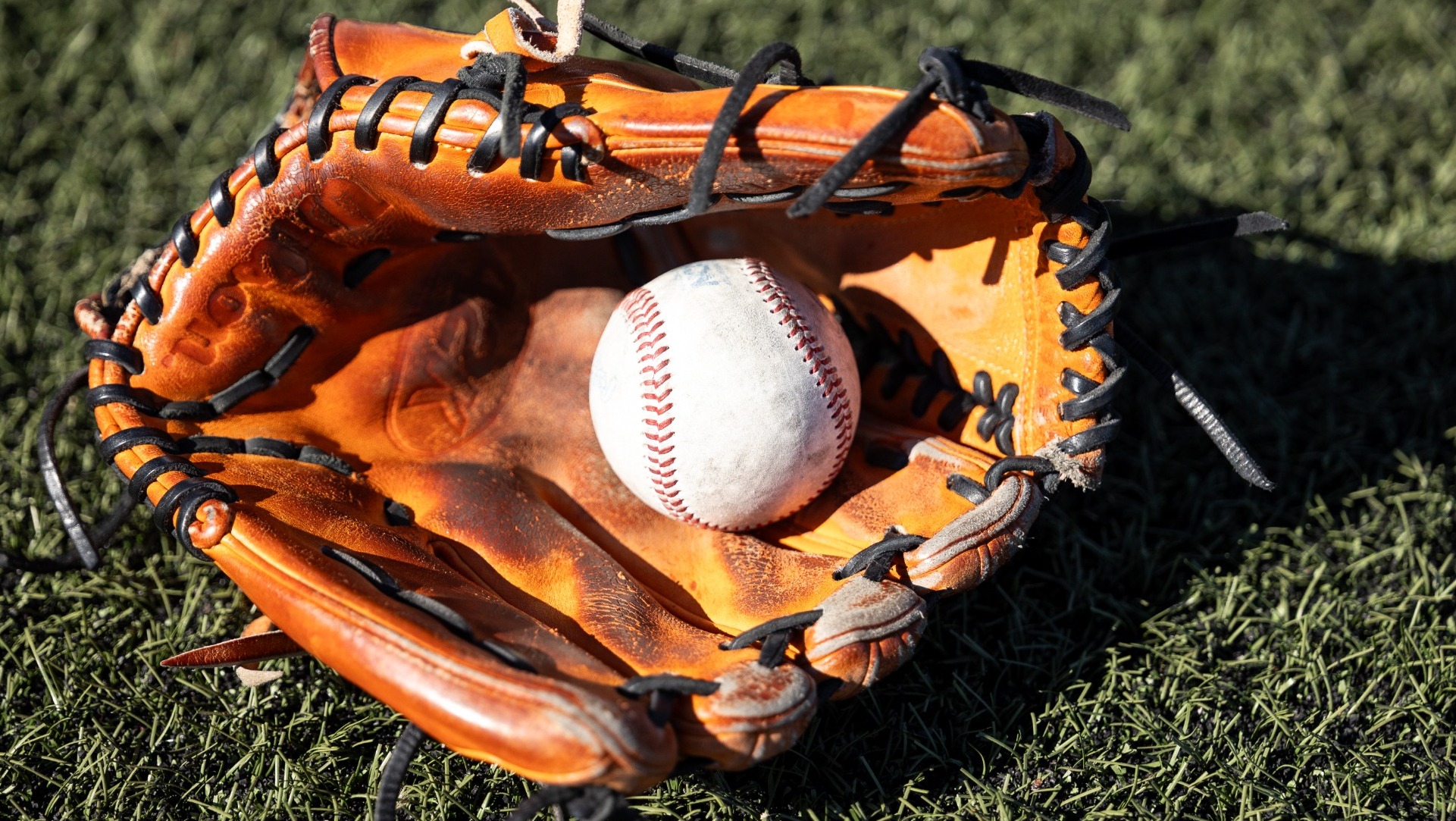 Mules Baseball ball and glove