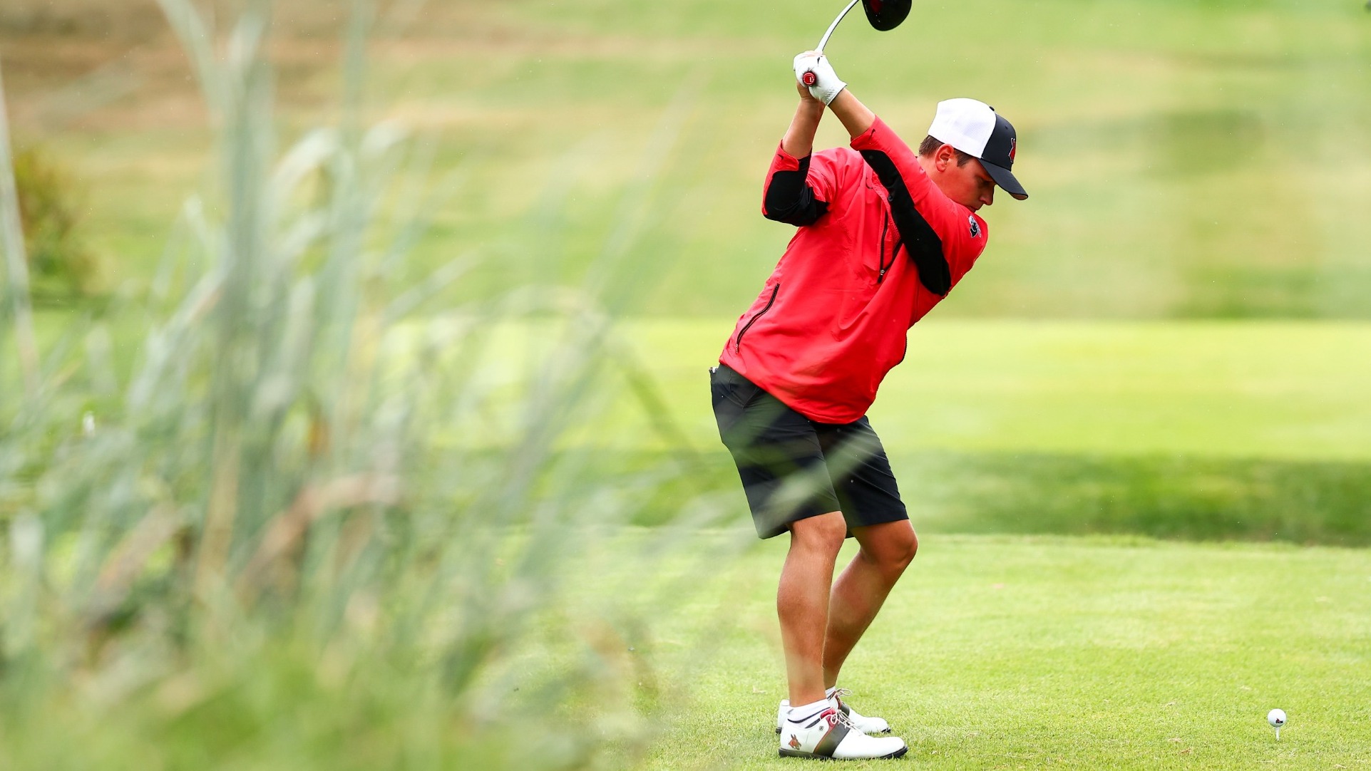 Lawson Barks at The Mule