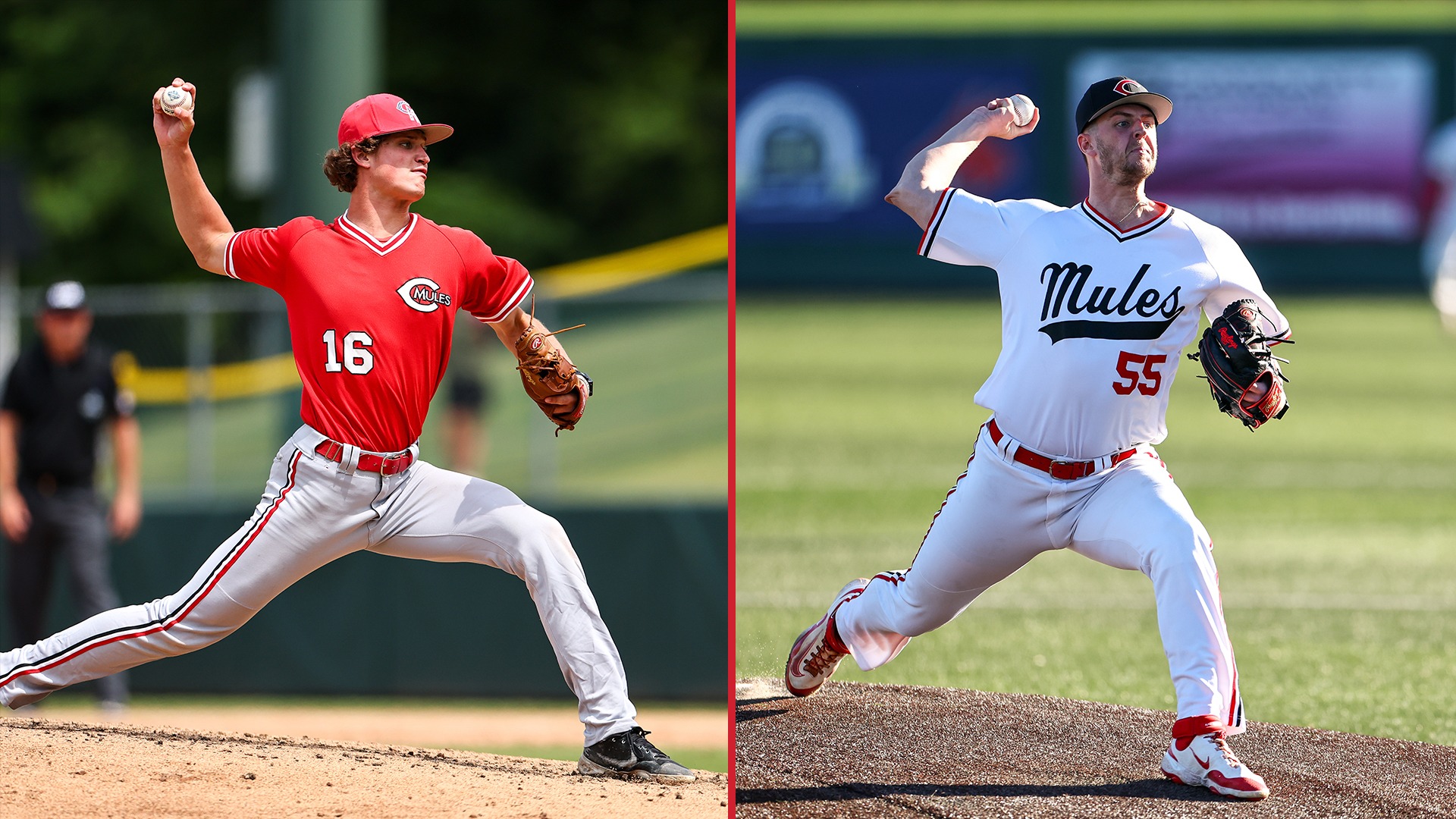 2026 Mules Baseball MLB Draft picks Jack Scott (16) and Greyson Chappel (55)