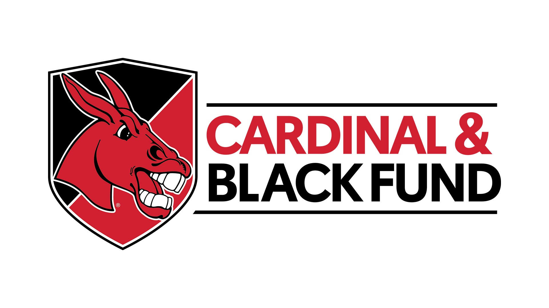 CBF Fund graphic for new website 2026-27