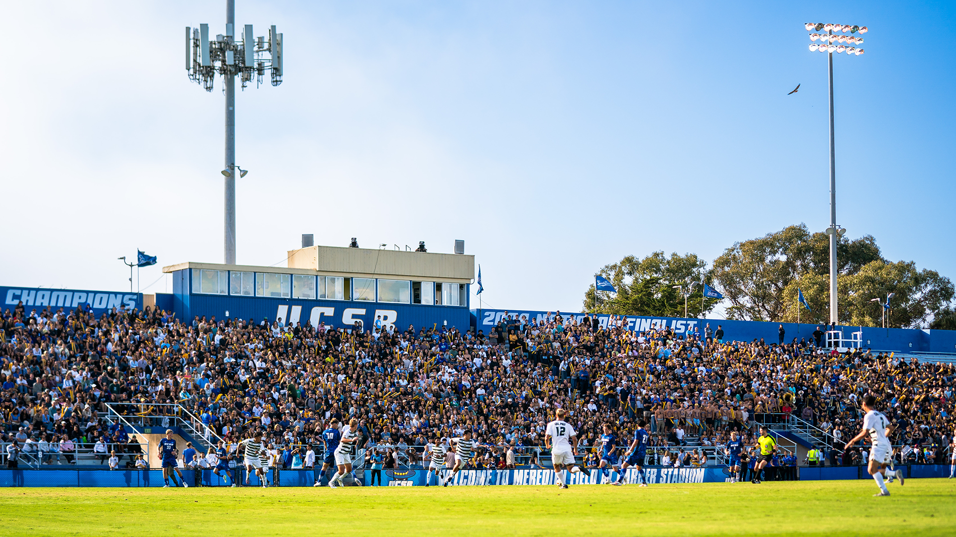 Harder Stadium Crowd vs Cal Poly