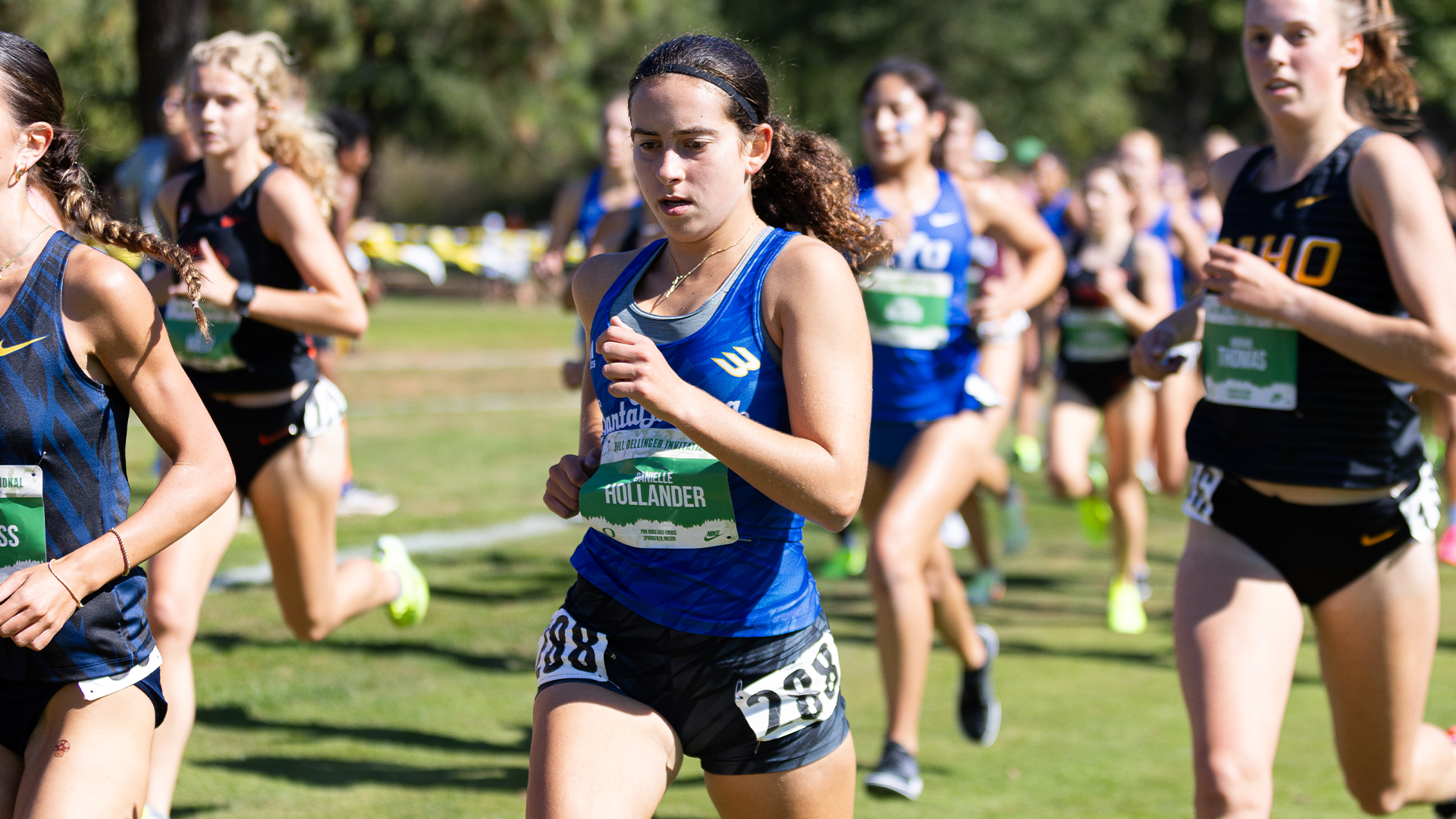 hollander at dellinger invite