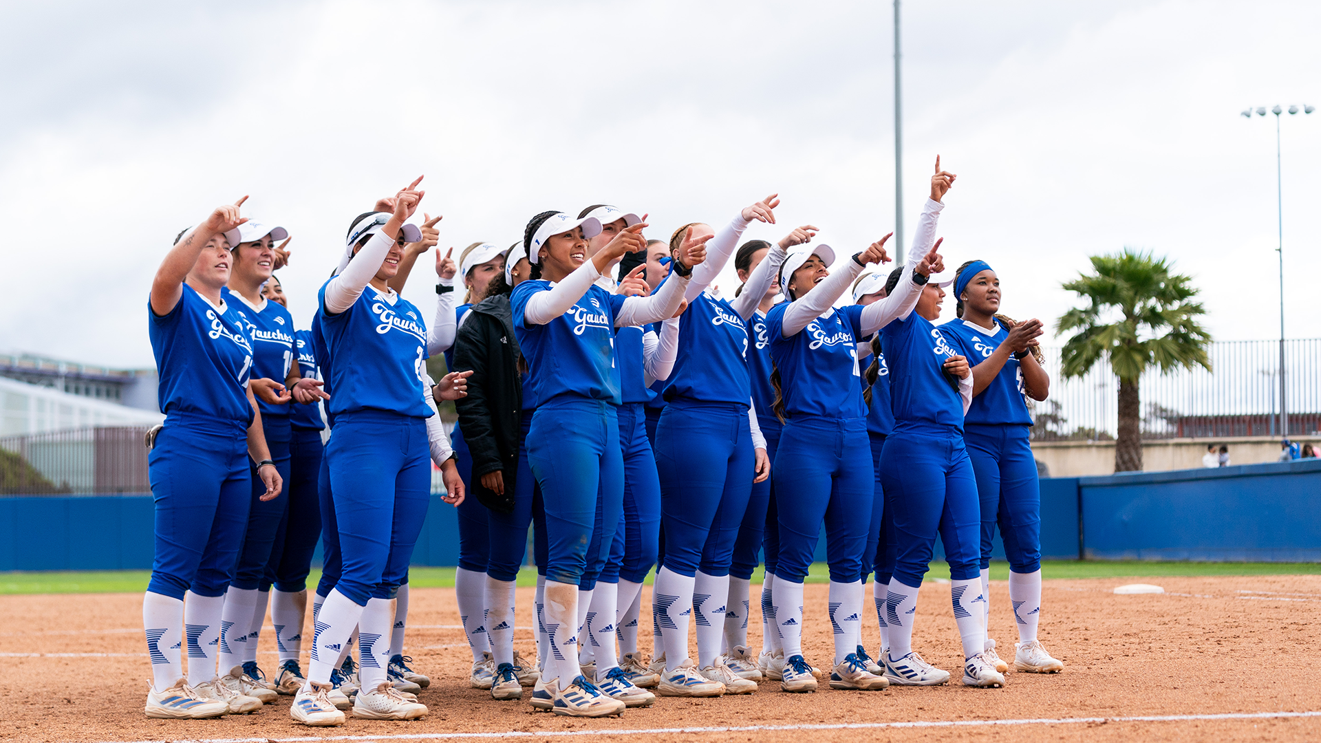 Softball crowd appreciation