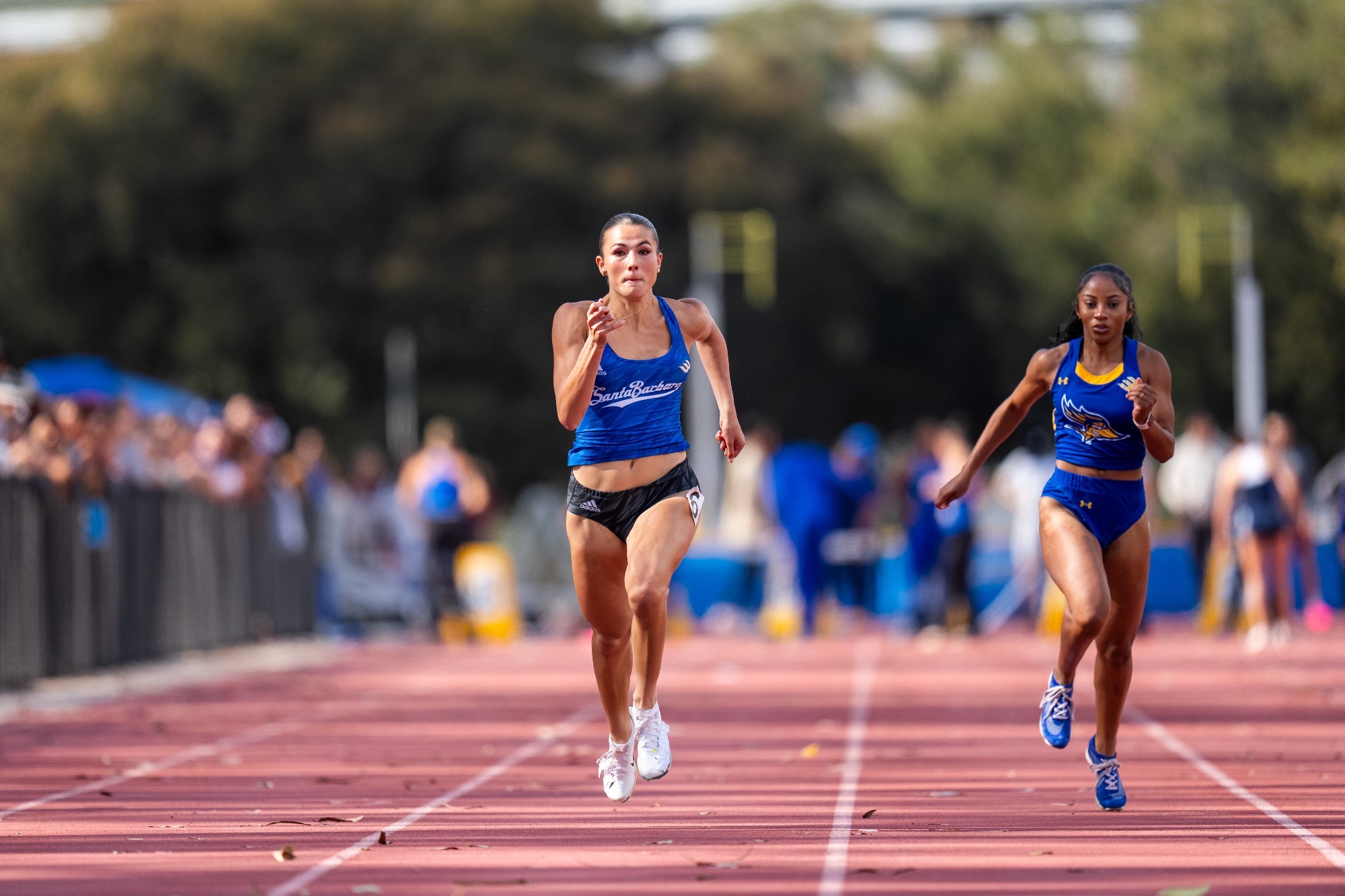 Shepard strides to secure 60m dash record 