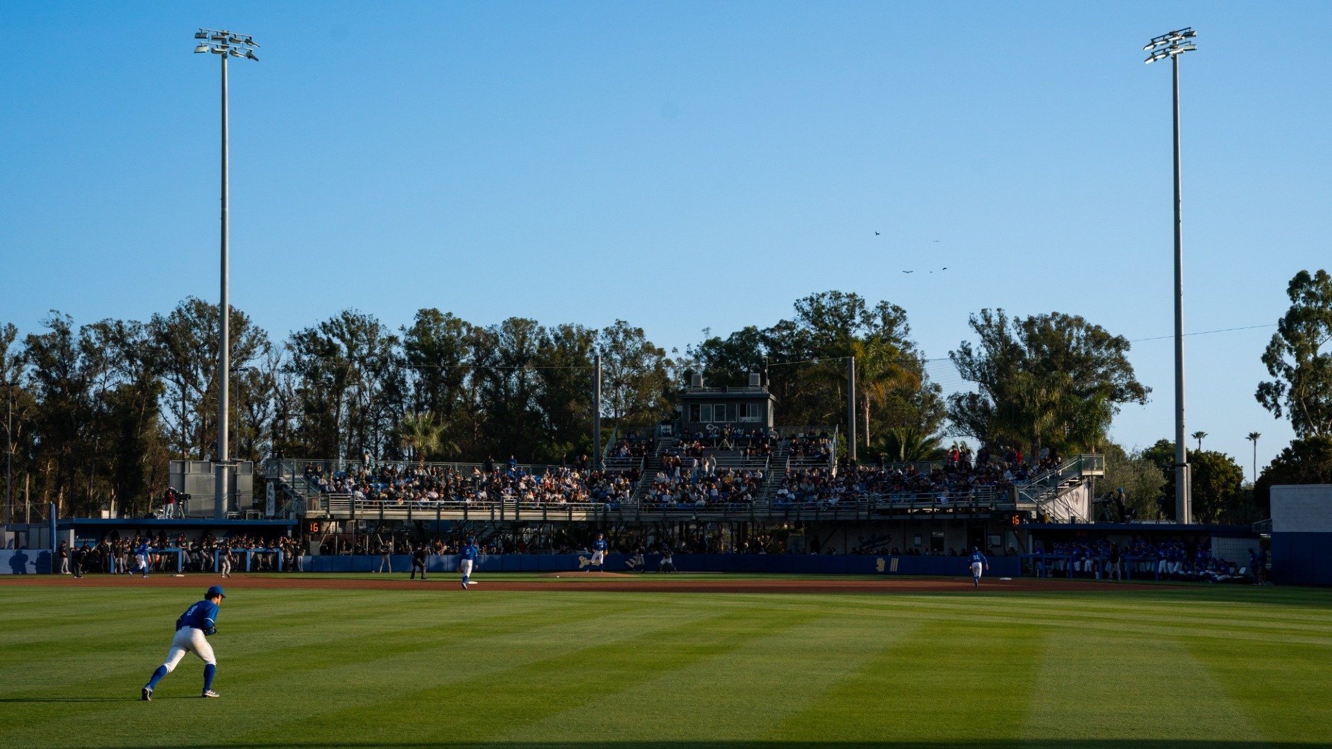 Caesar Uyesaka Stadium's stands in evening light