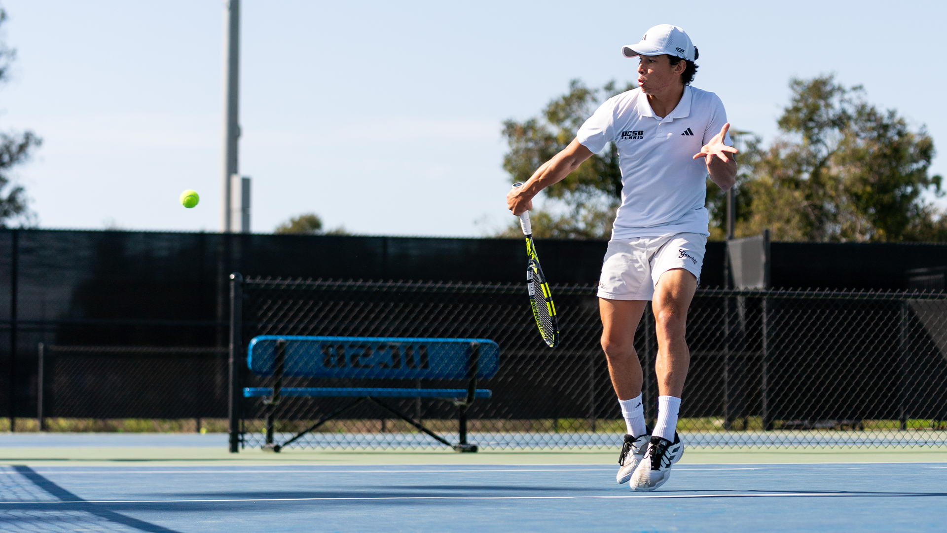 liu vs south florida