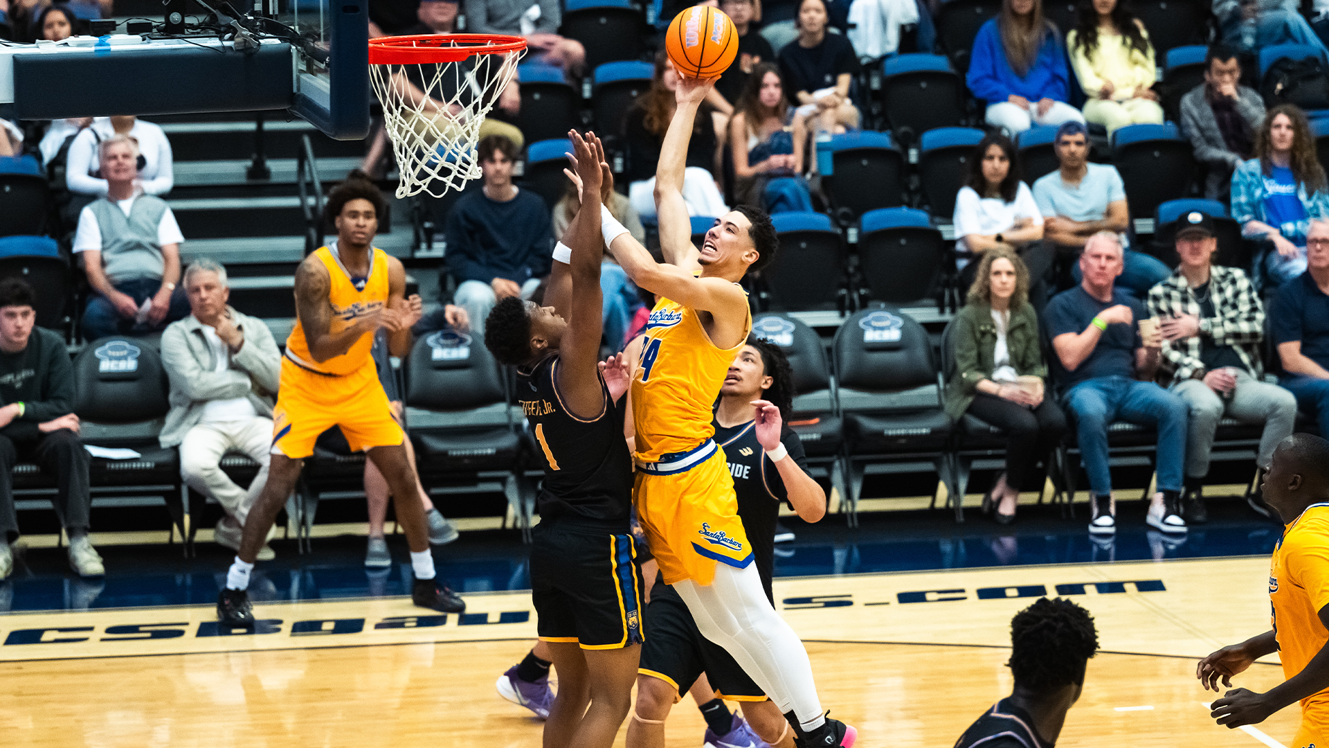 zion driving to basket