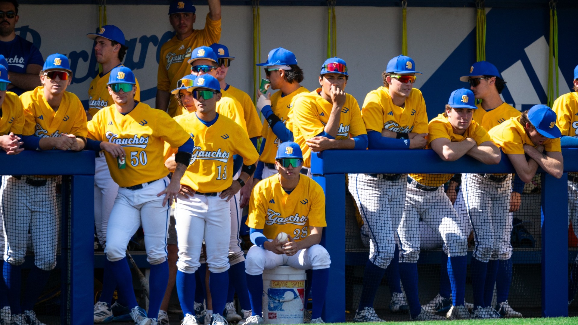 A group of UC Santa Barbara Baseball players in yellow jerseys, white pants and blue caps stand and lean on the blue fence at the front of their dugout..