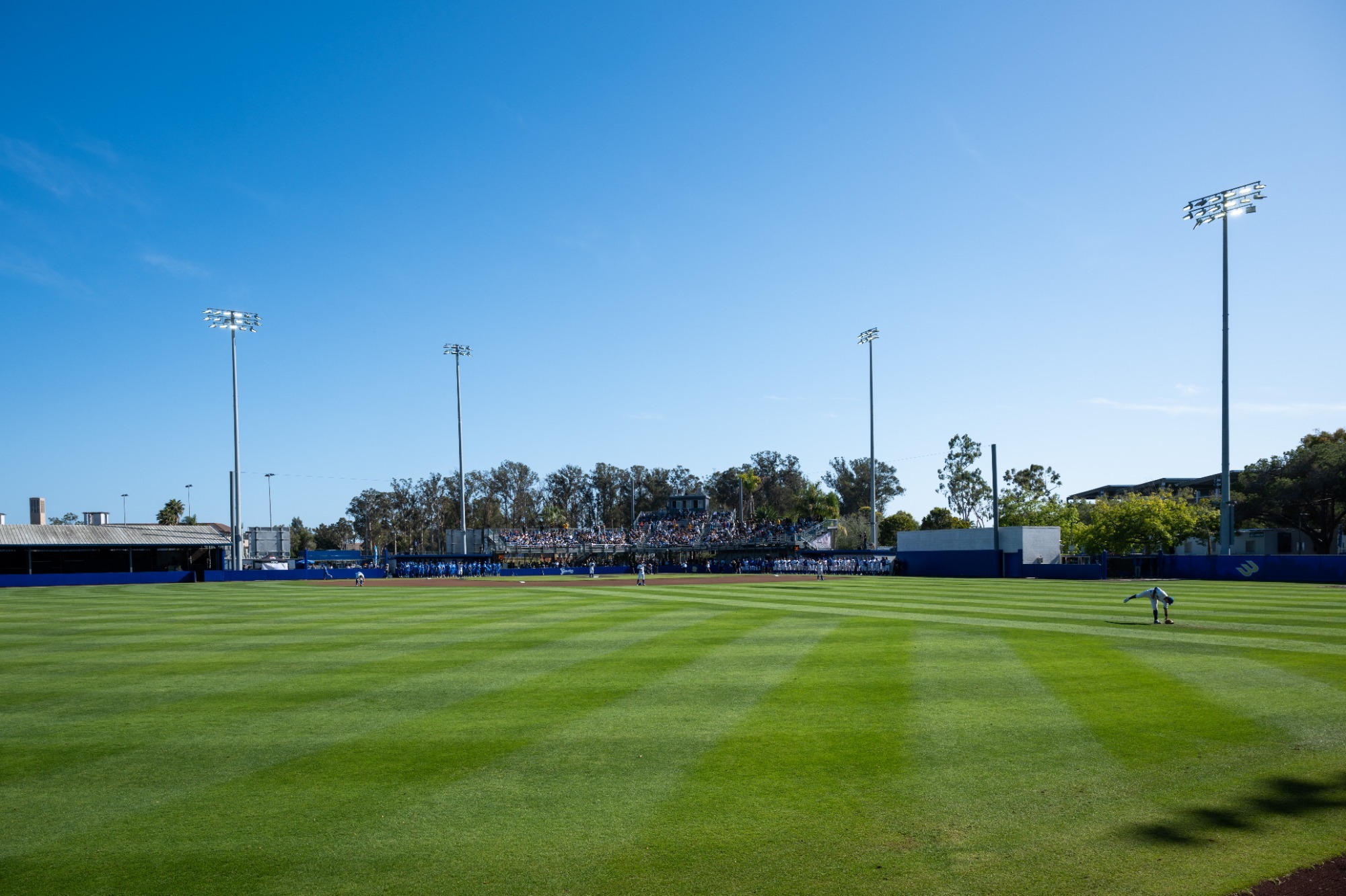 A wide shot of the baseball outfield