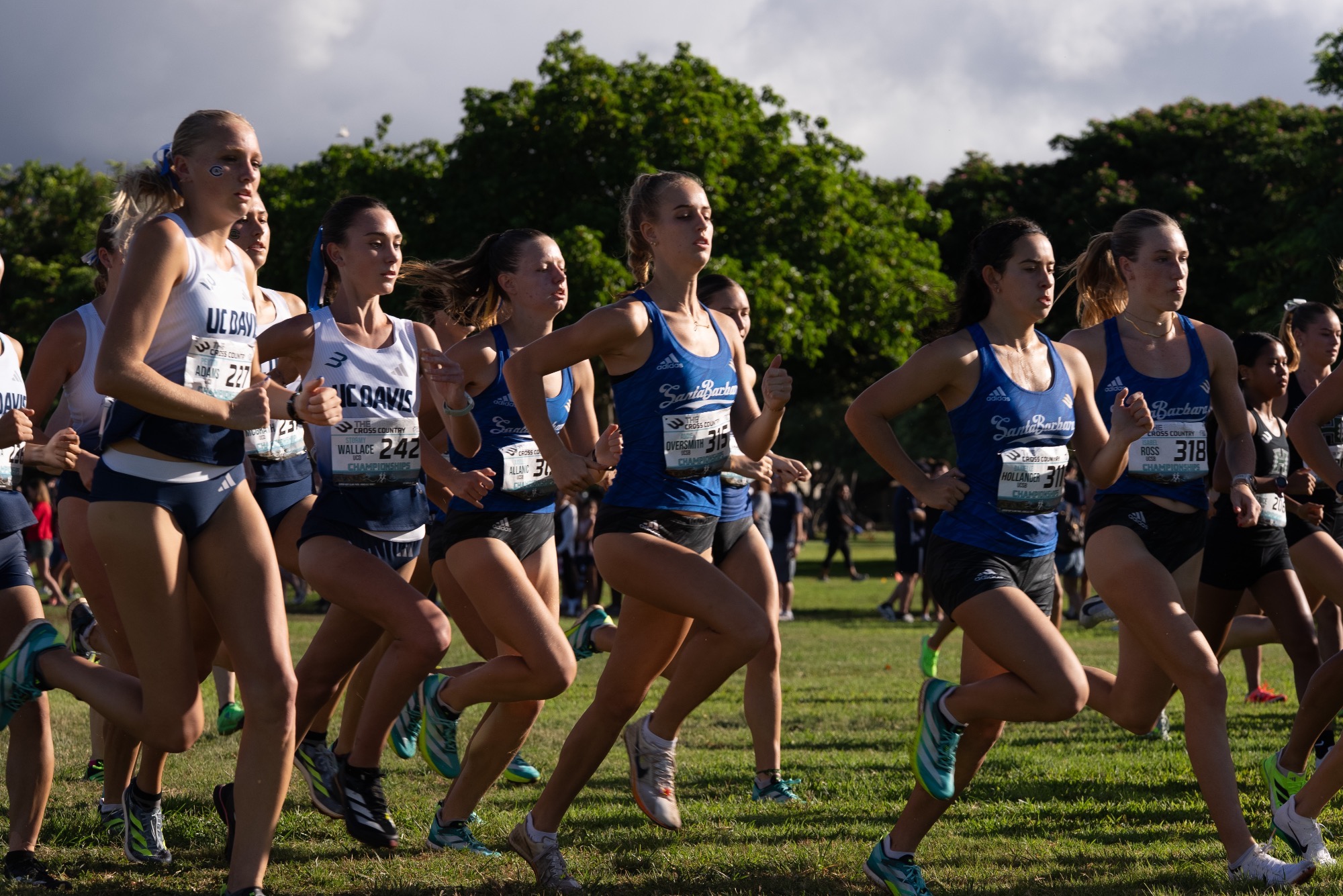 The women's xc team at the start line at the Big West Championships 