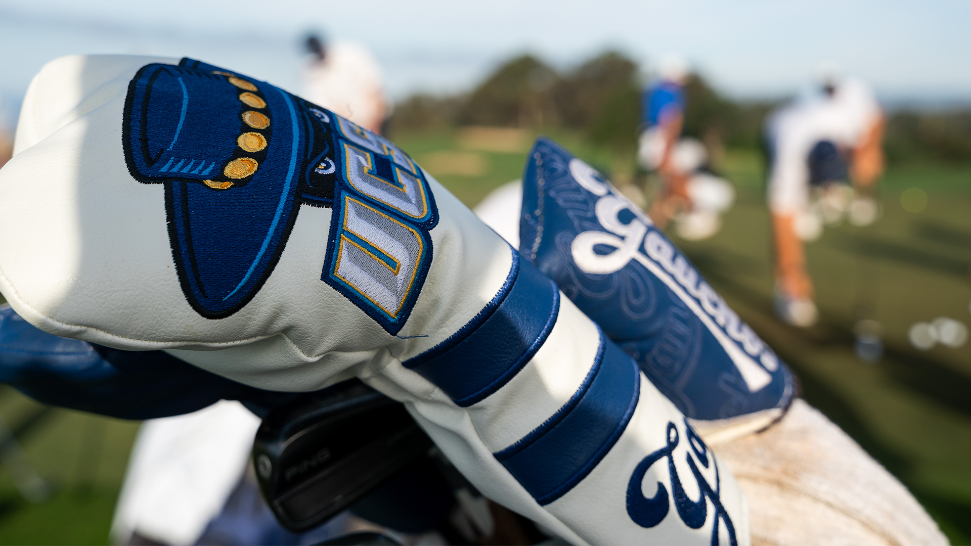UC Santa Barbara Golf Headcovers