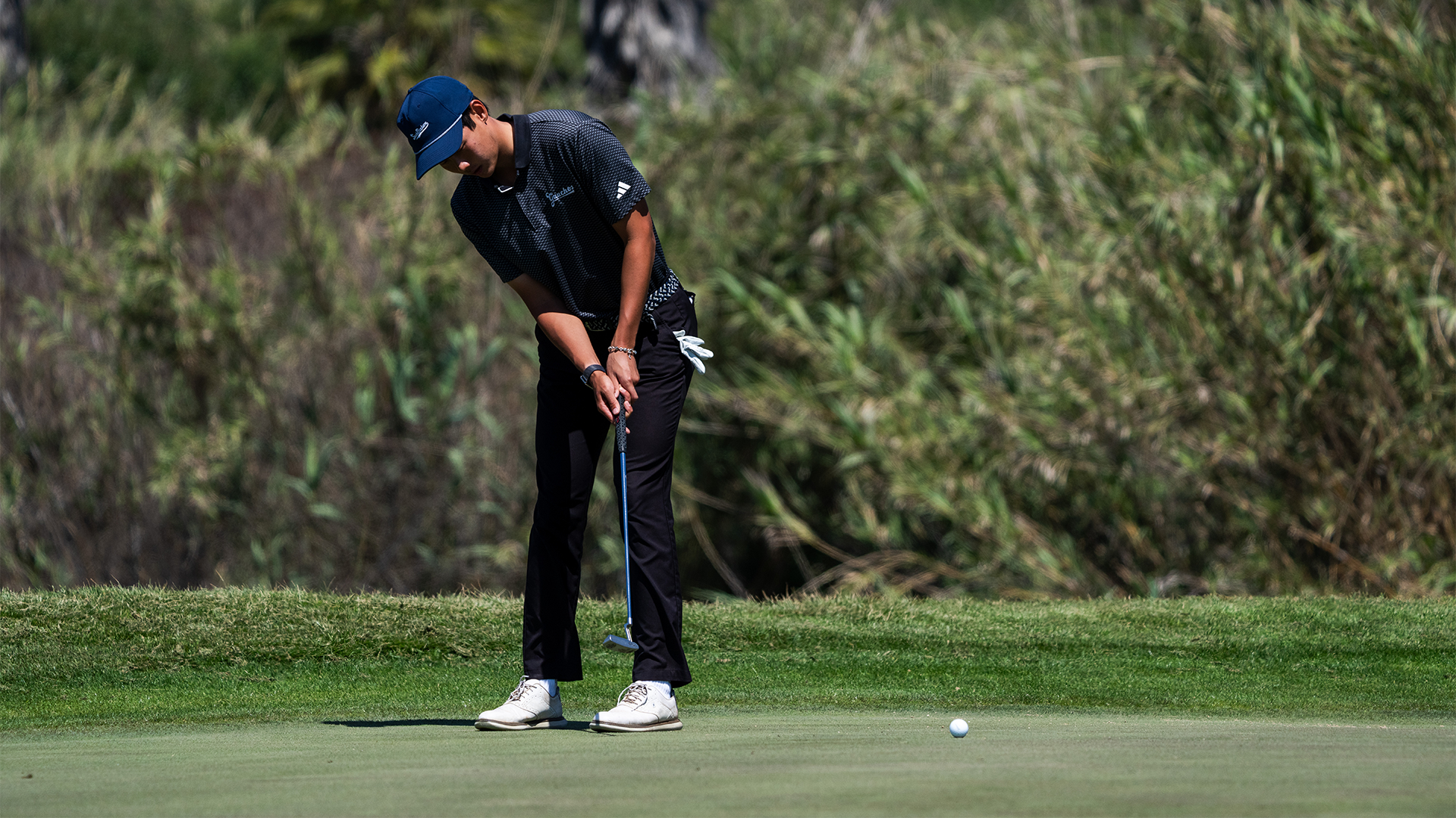 Dylan Ma hits a putt and watches on as it approaches the hole.