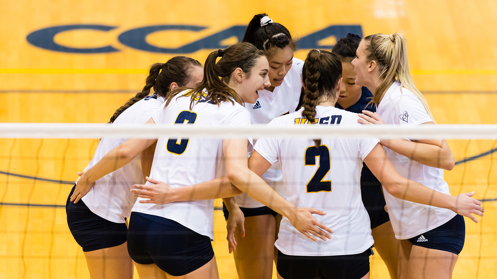 UC San Diego's Final DII Volleyball Schedule Set UC San Diego