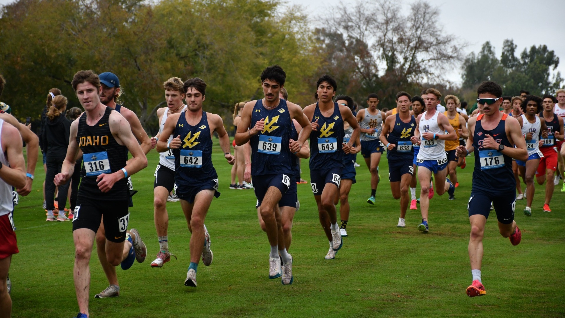 Men's Cross Country