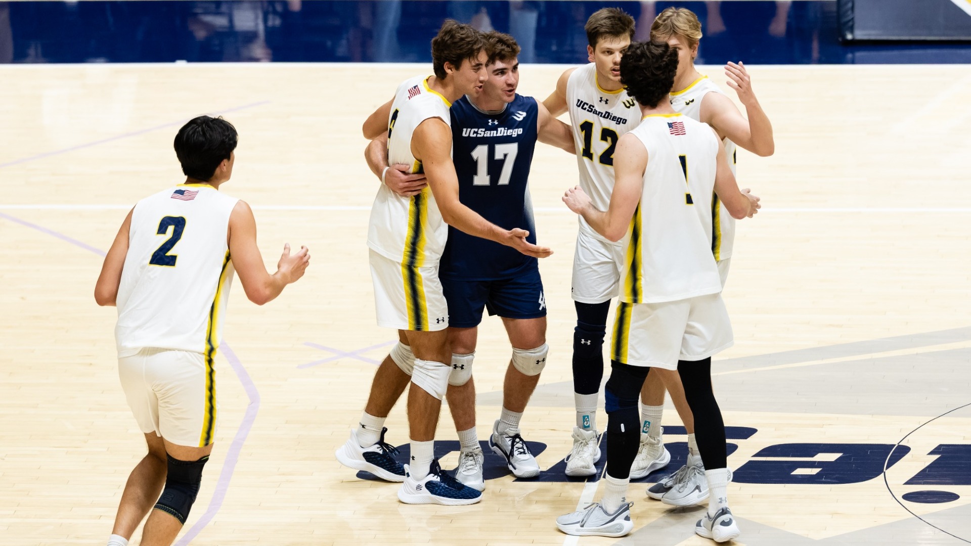 Men's Volleyball Celebration