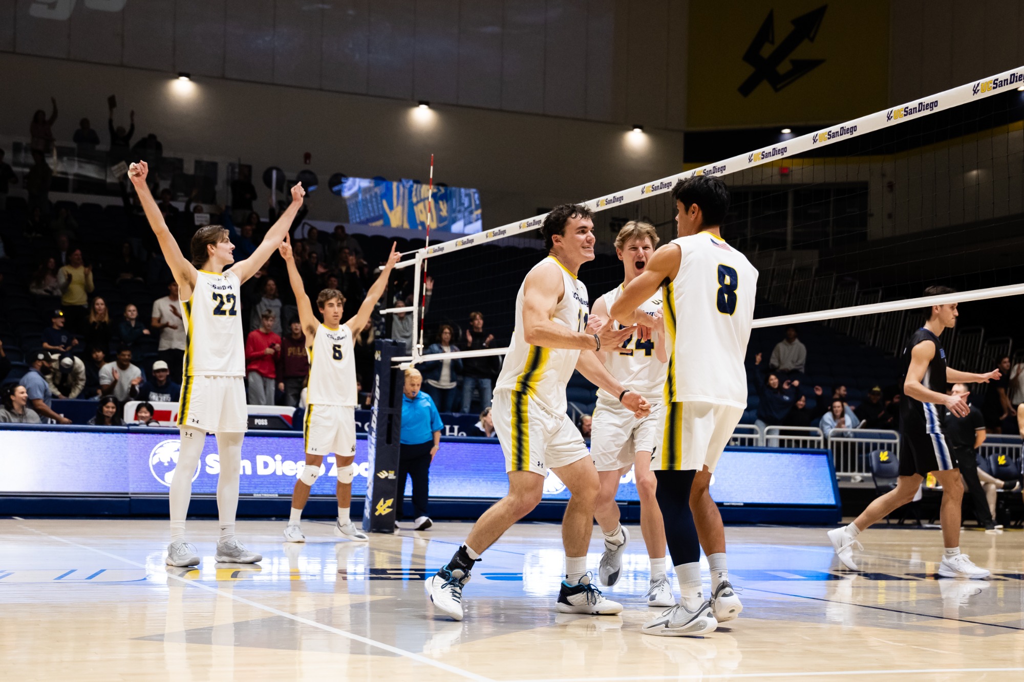Men's Volleyball Celebration